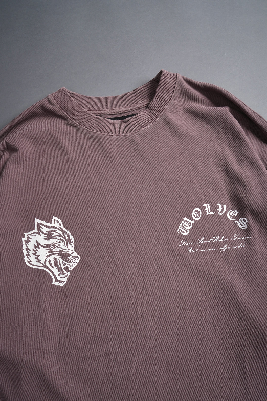 Hall Of The Slain "Premium" Oversized Tee in Mauve