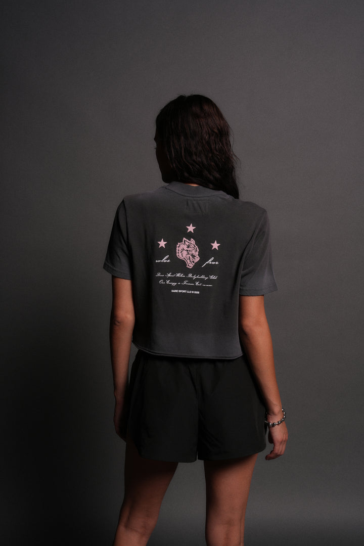 She's a Star "Premium" Oversized Cropped Tee in Wolf Gray Drift Wash