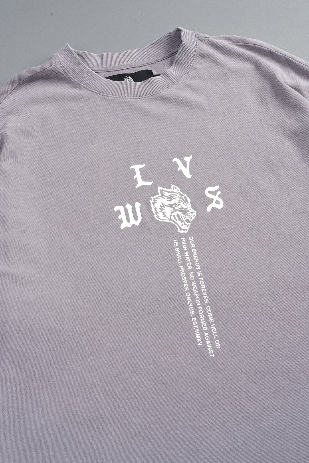 Dama De Las Rosas Premium Oversized Tee In Pale Gray