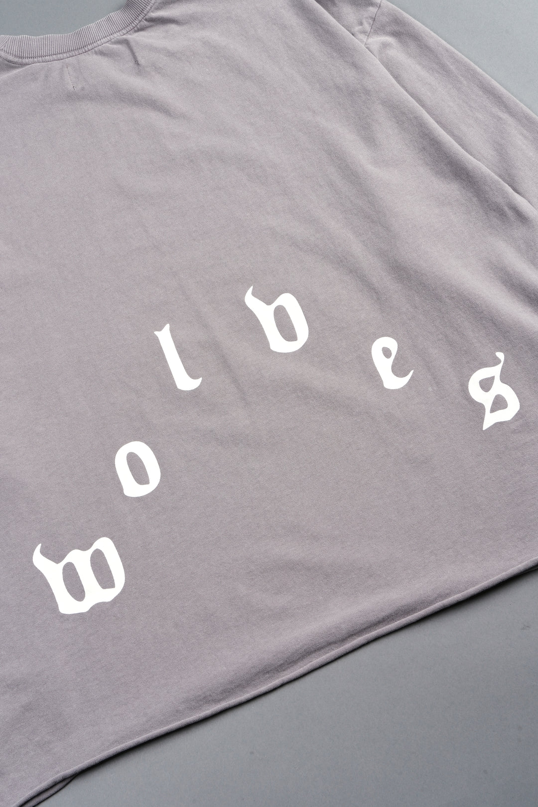 Dama De Las Rosas Grunge Mid Length Raw Hem Ls Tee In Pale Gray