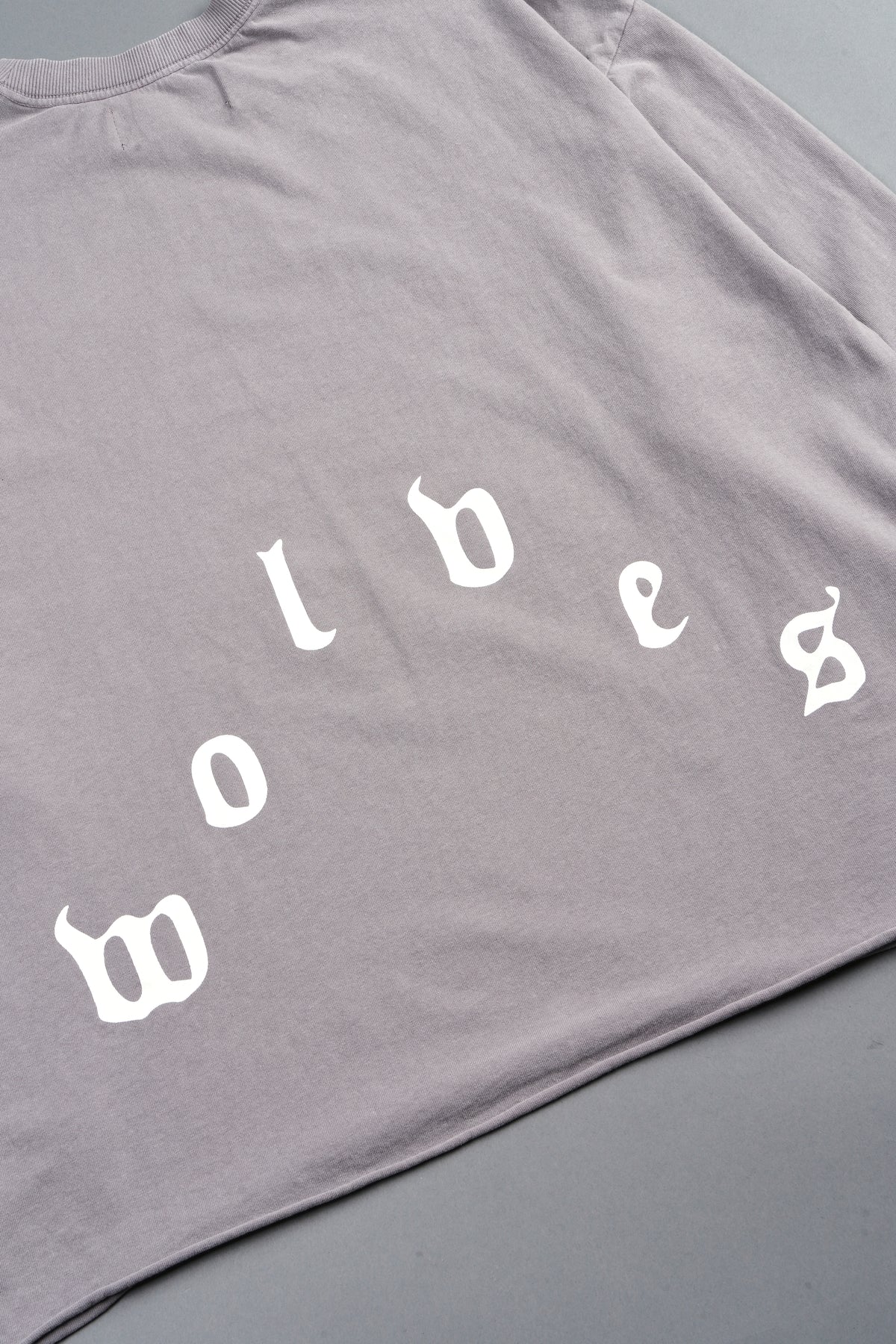 Dama De Las Rosas Grunge Mid Length Raw Hem Ls Tee In Pale Gray