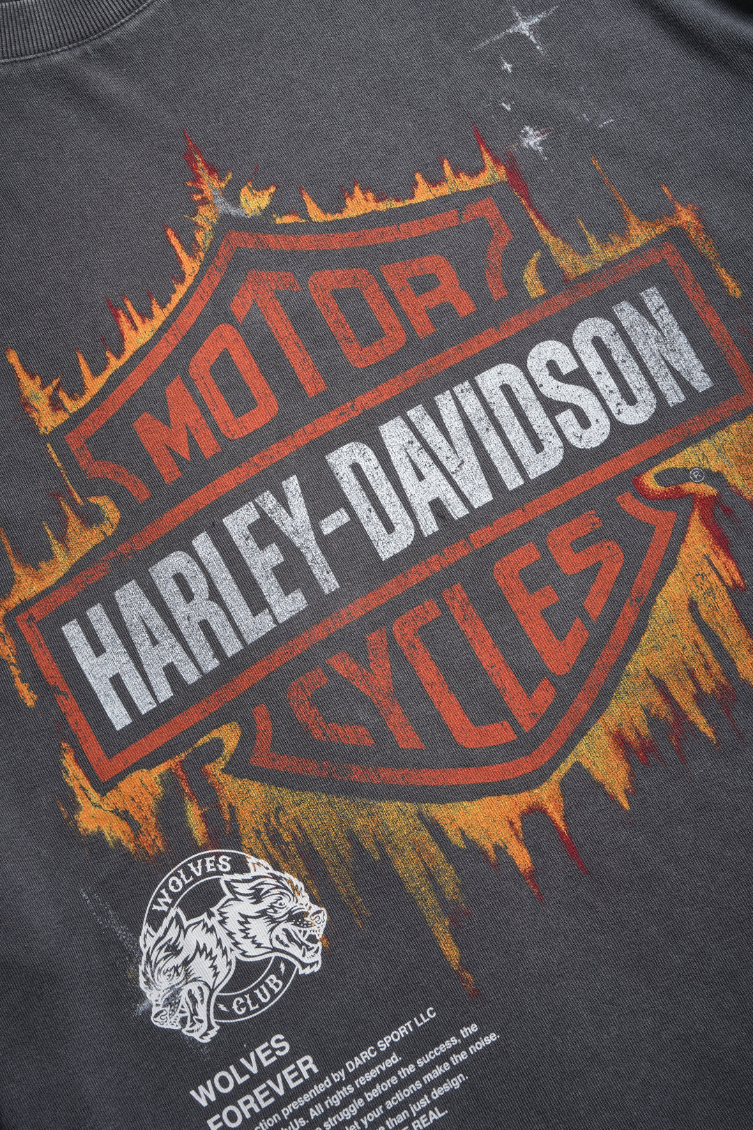 Harley-Davidson logo with flames on a dark background