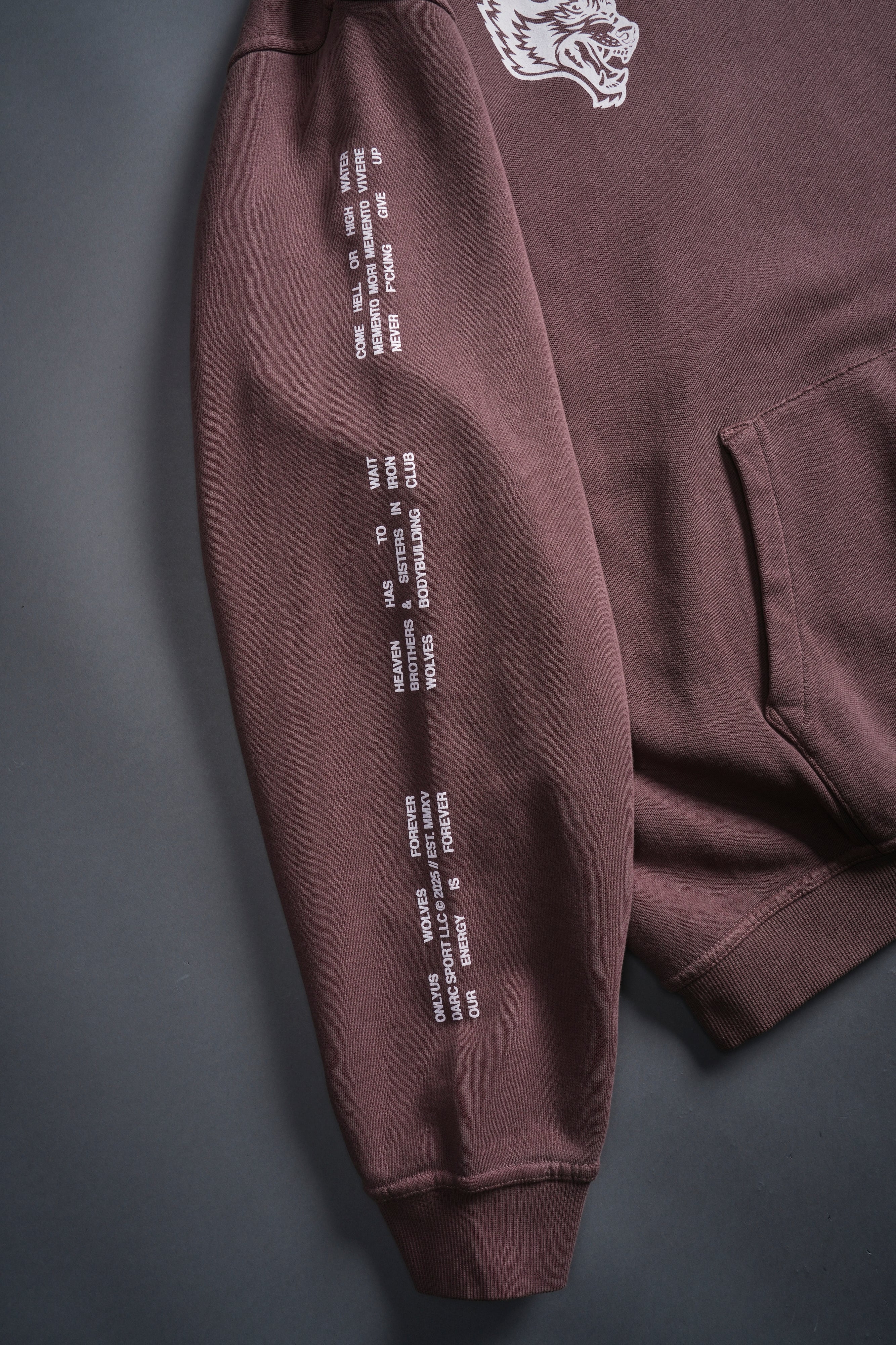 Live Today "Pierce" Hoodie in Mauve