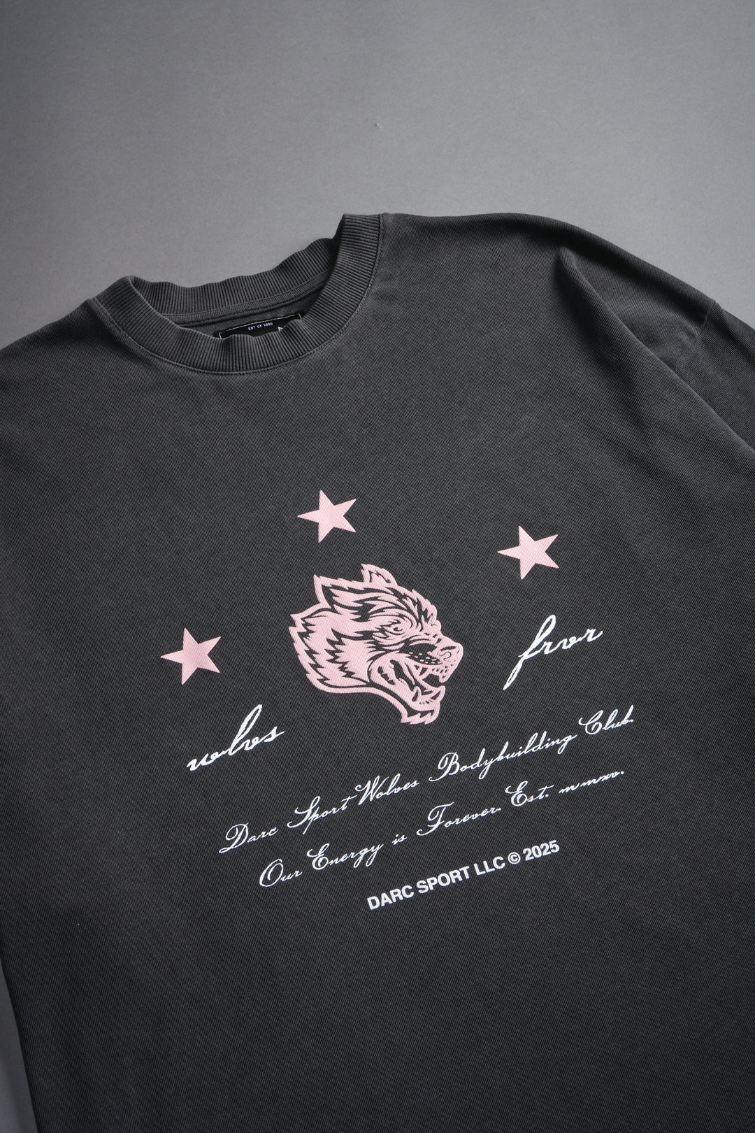 She's a Star Unisex "Premium" Oversized Tee in Wolf Gray