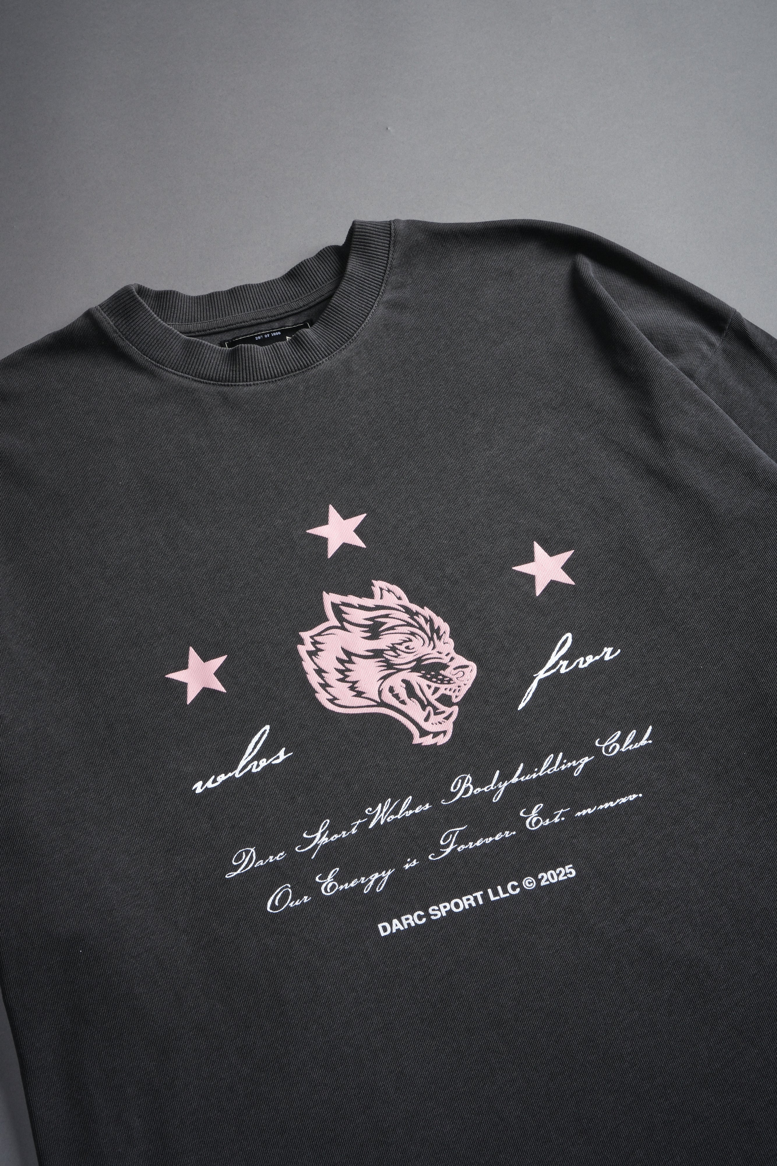 She's a Star Unisex "Premium" Oversized Tee in Wolf Gray