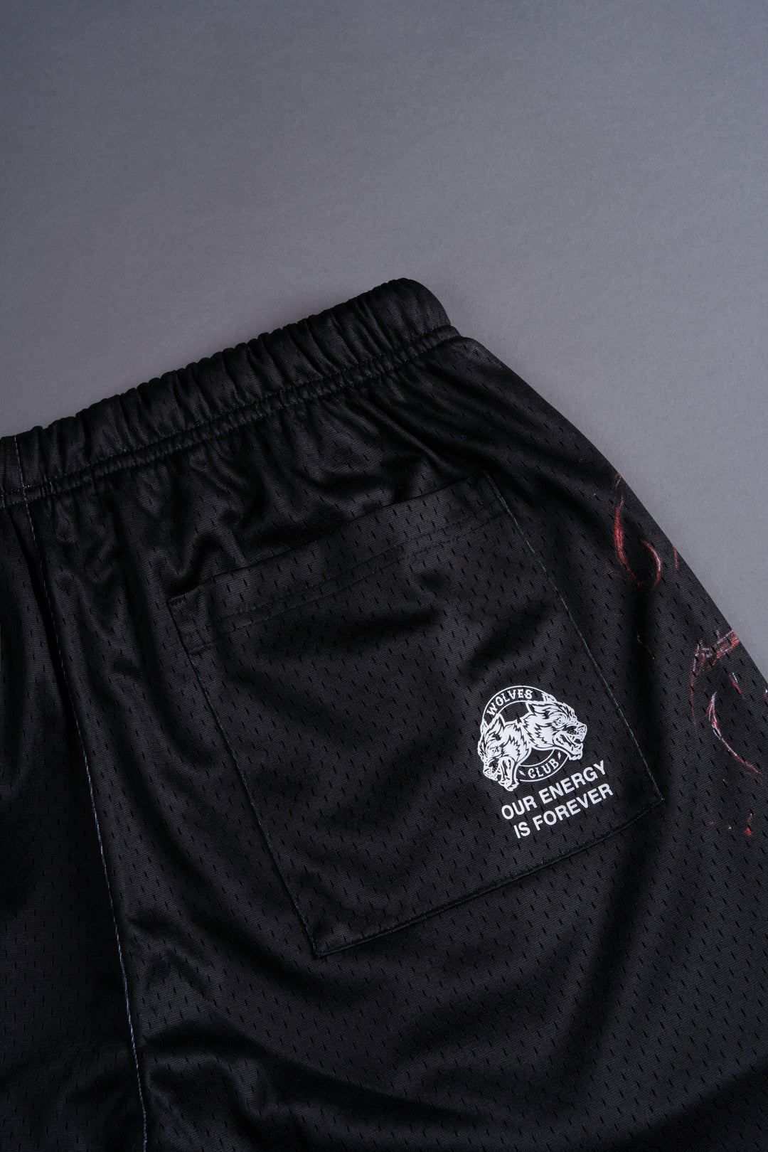 Web Of Carnage Mesh Shorts in Black