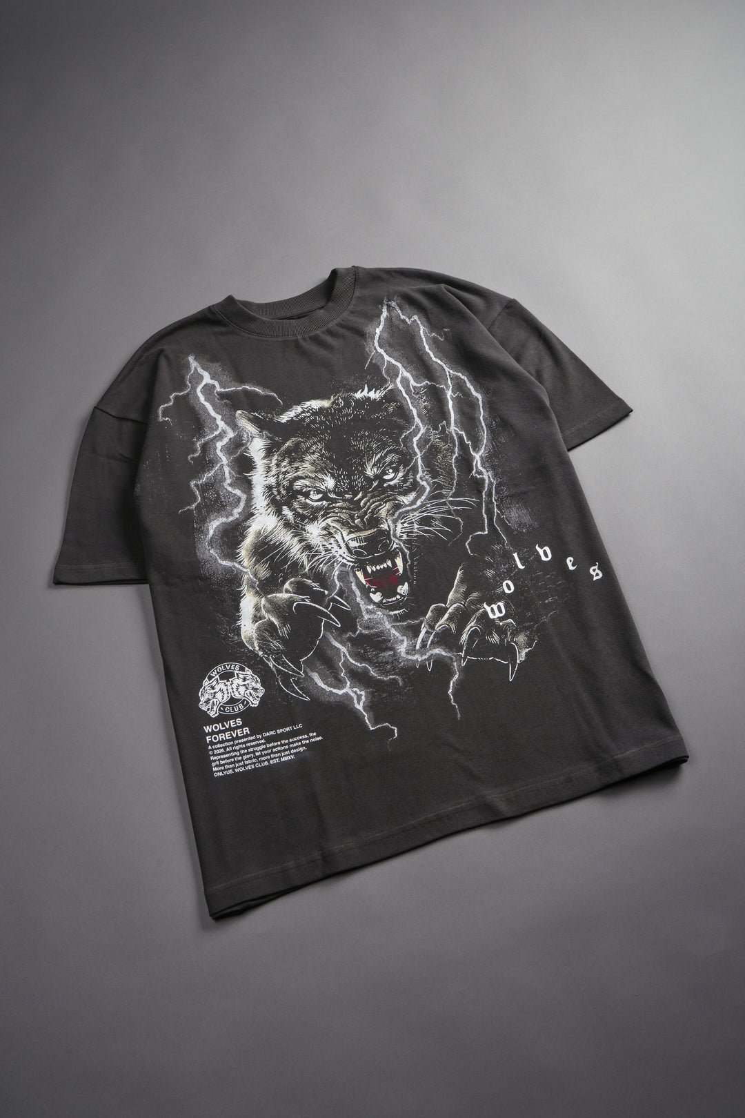 Trust Your Journey Premium Oversized Tee in Wolf Gray