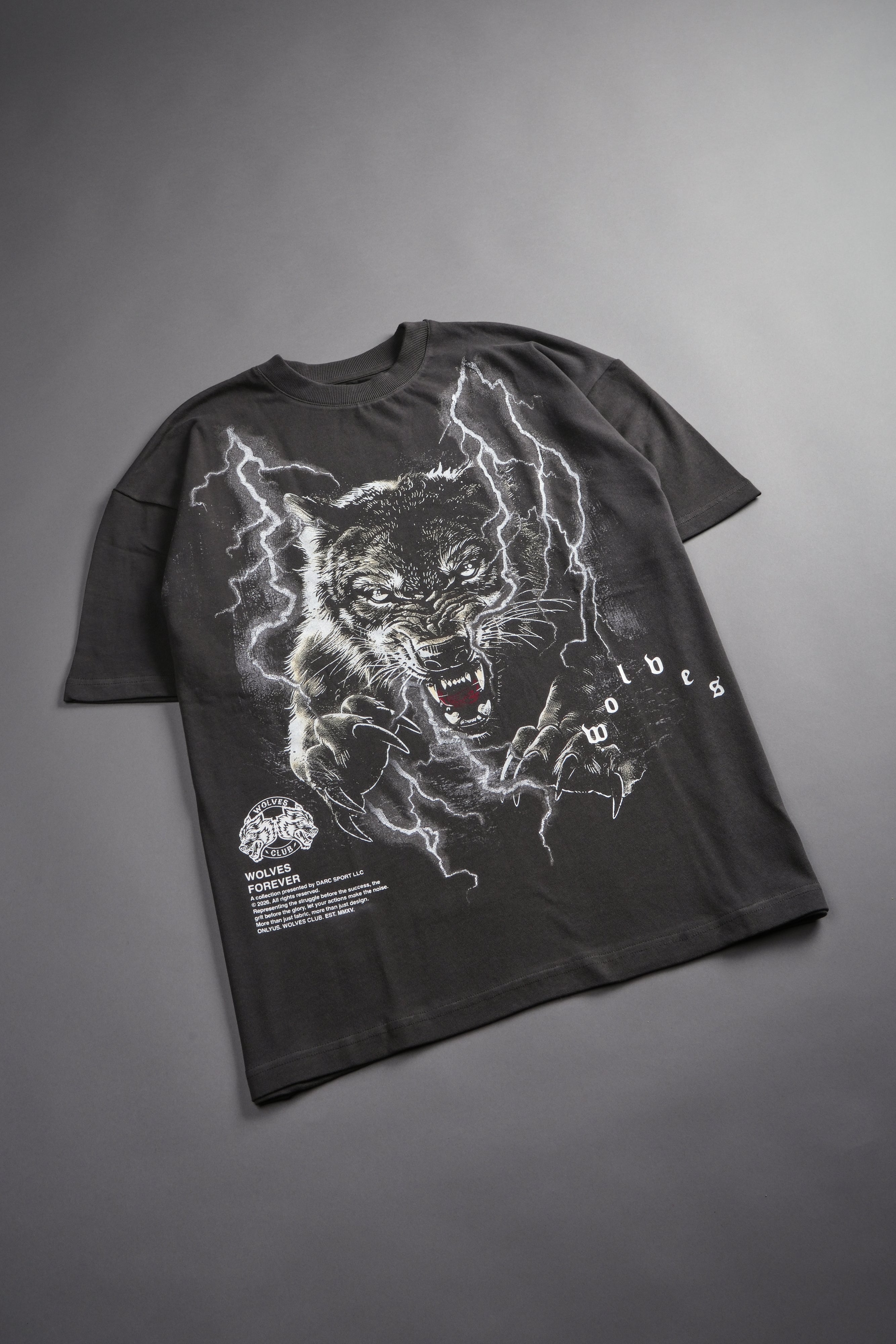 Trust Your Journey Premium Oversized Tee in Wolf Gray