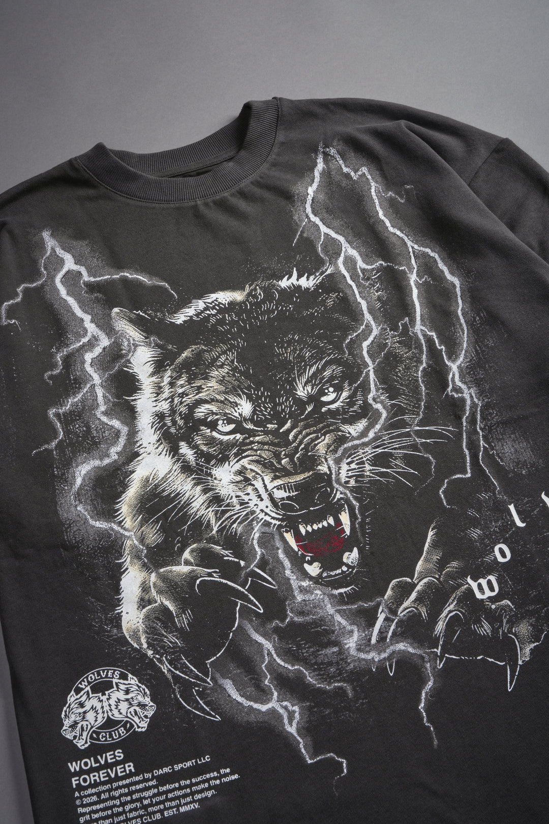Trust Your Journey Premium Oversized Tee in Wolf Gray