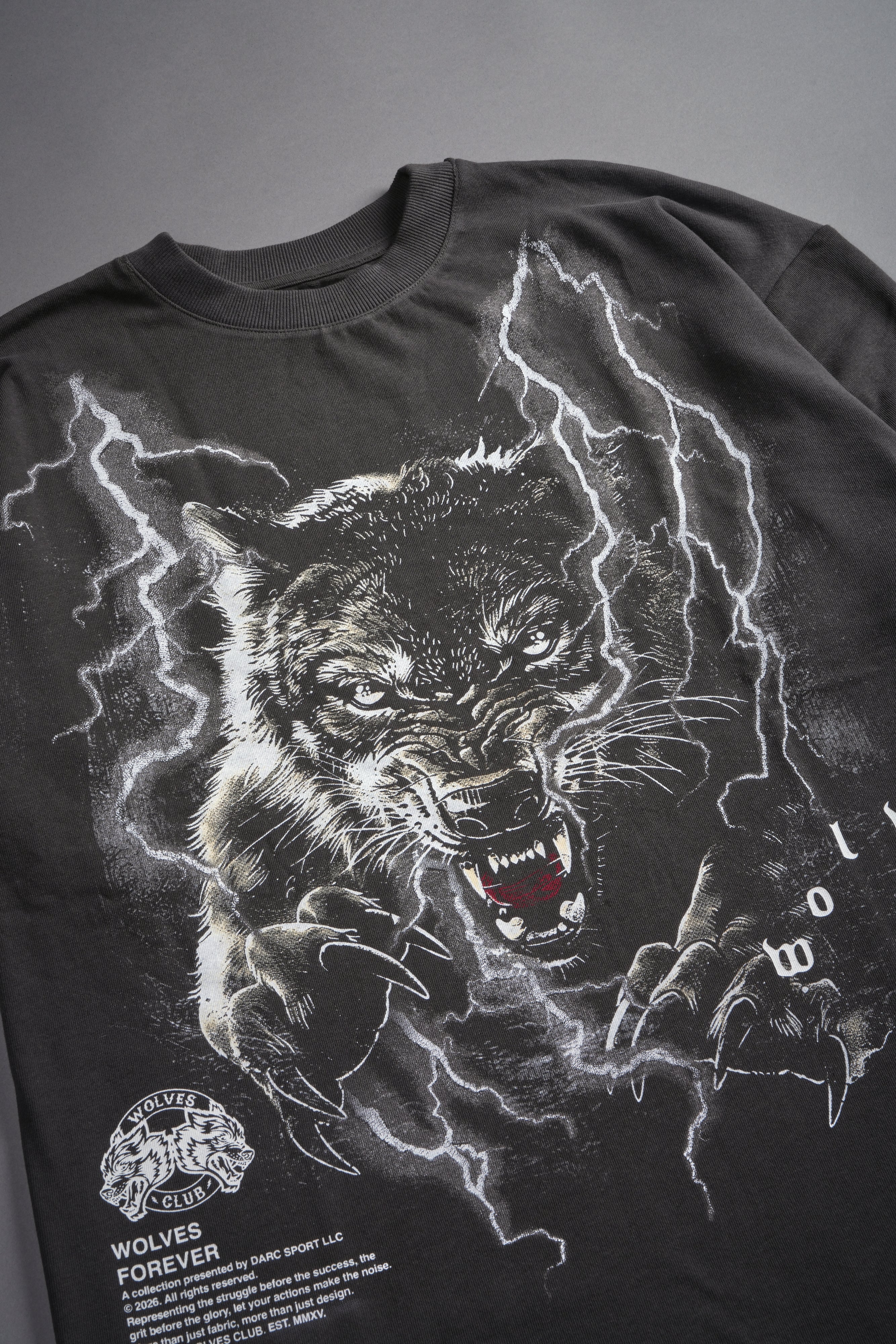 Trust Your Journey Premium Oversized Tee in Wolf Gray