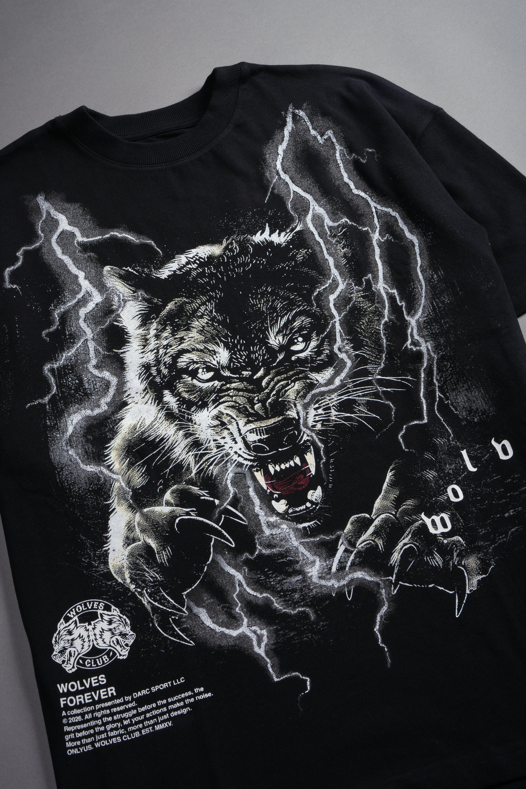 Trust Your Journey Premium Oversized Tee in Black