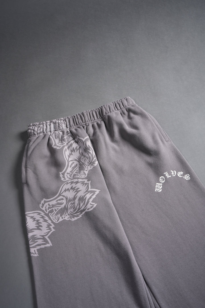 Surrounded By Family She Big Cozy Sweats in Pale Gray