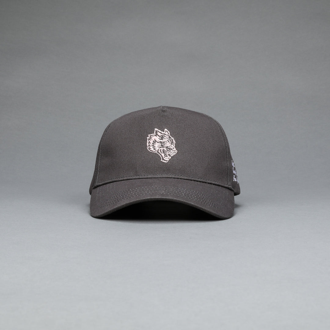 F Cancer x NFGU 5 Panel Hat in Wolf Gray/Light Mauve
