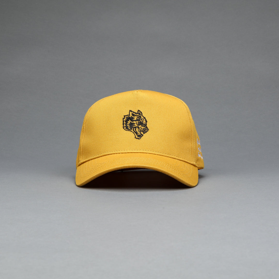 F Cancer x NFGU 5 Panel Hat in Vintage Gold