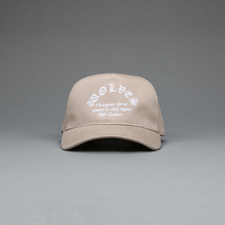 Chopper 5 Panel Hat in Taupe