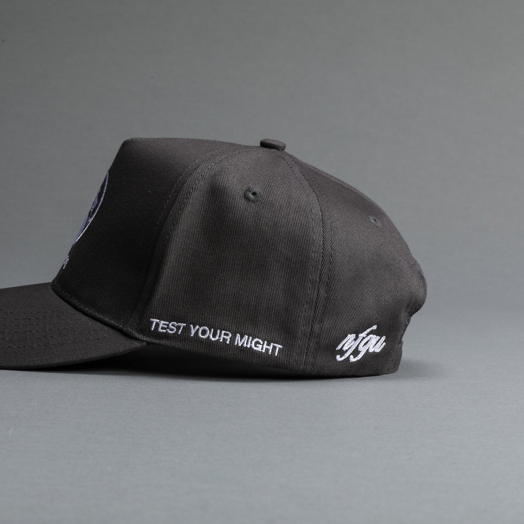 Test Your Might 5 Panel Hat in Wolf Gray