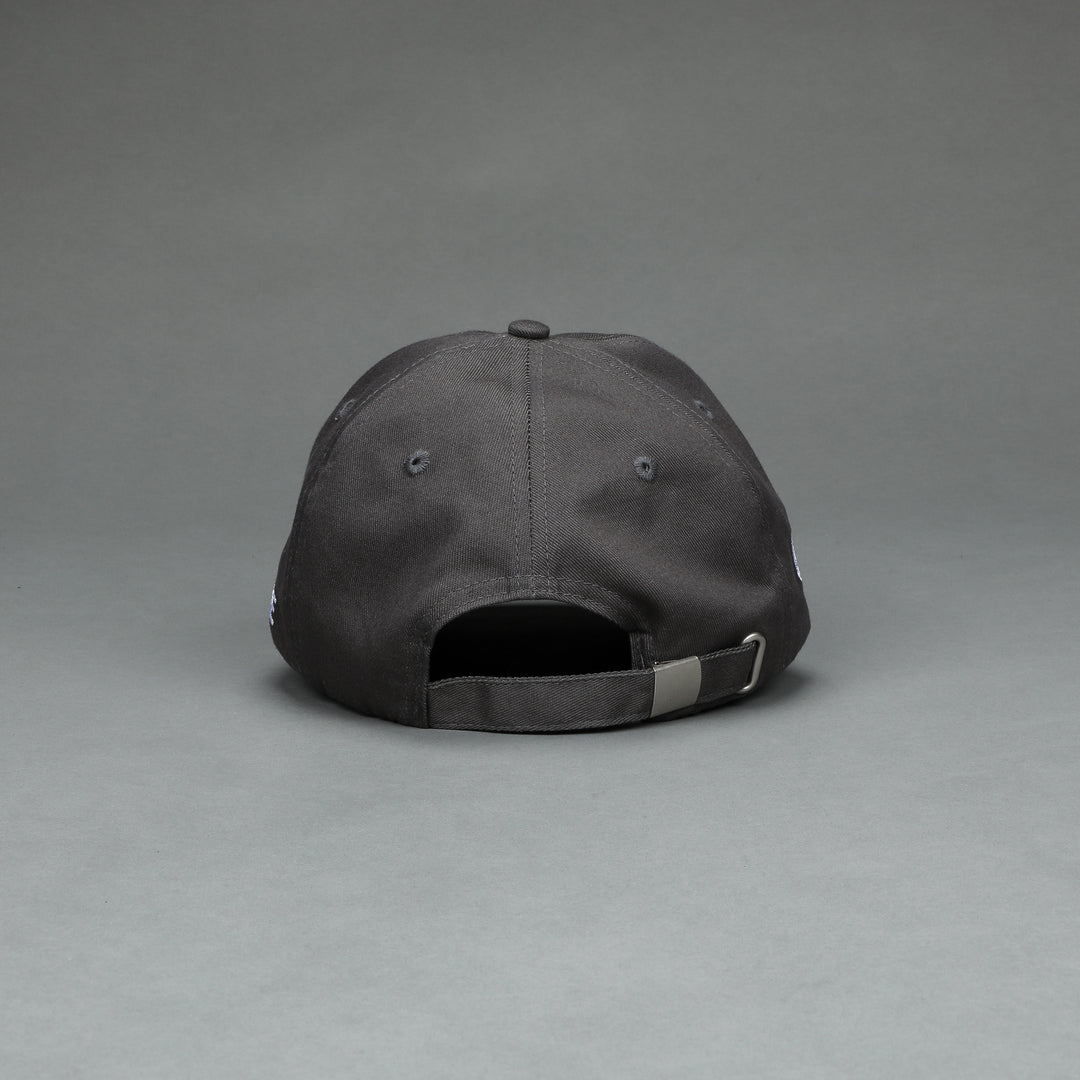 She Wolves V2 Dad Hat in Wolf Gray