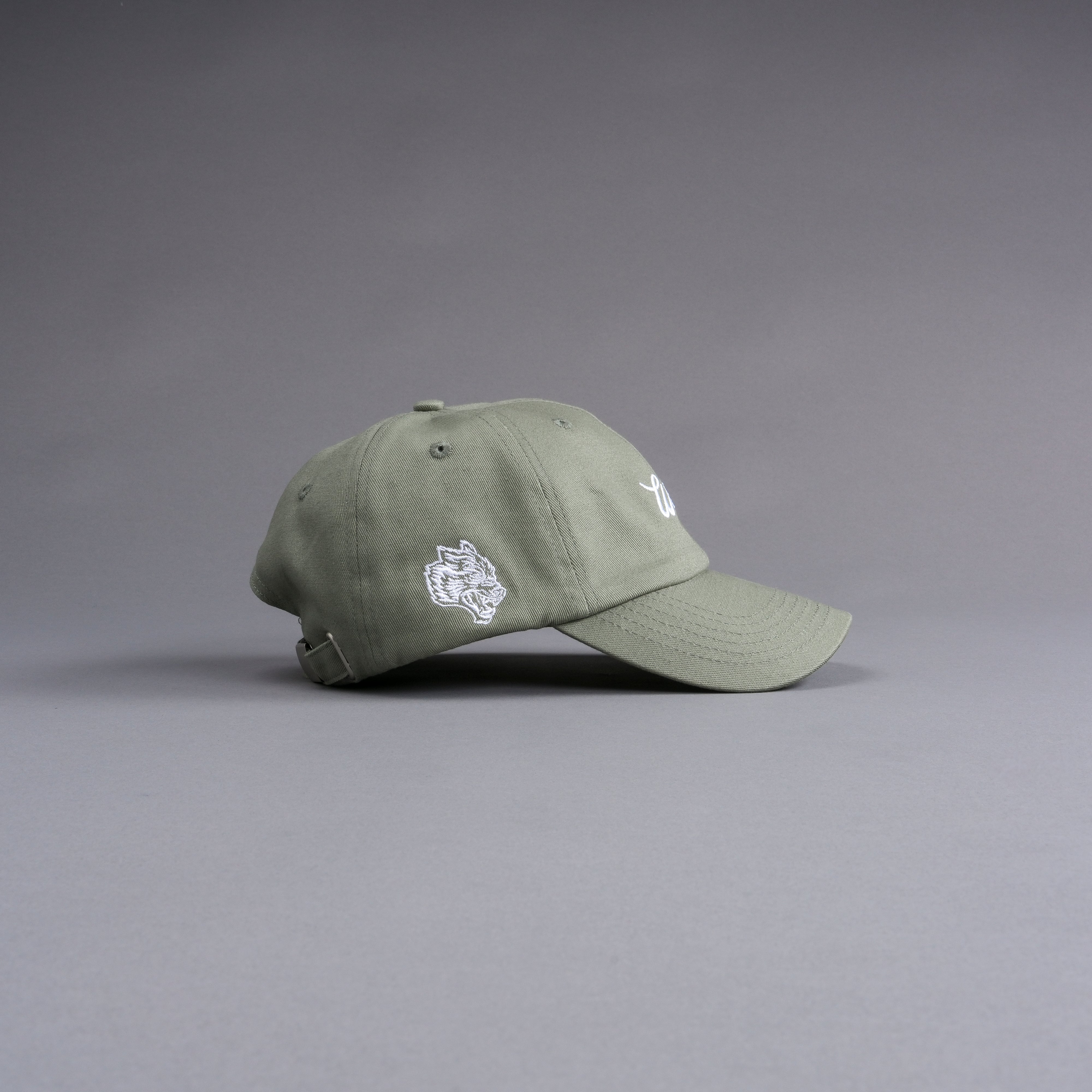 Since V2 Dad Hat in Cactus Gray