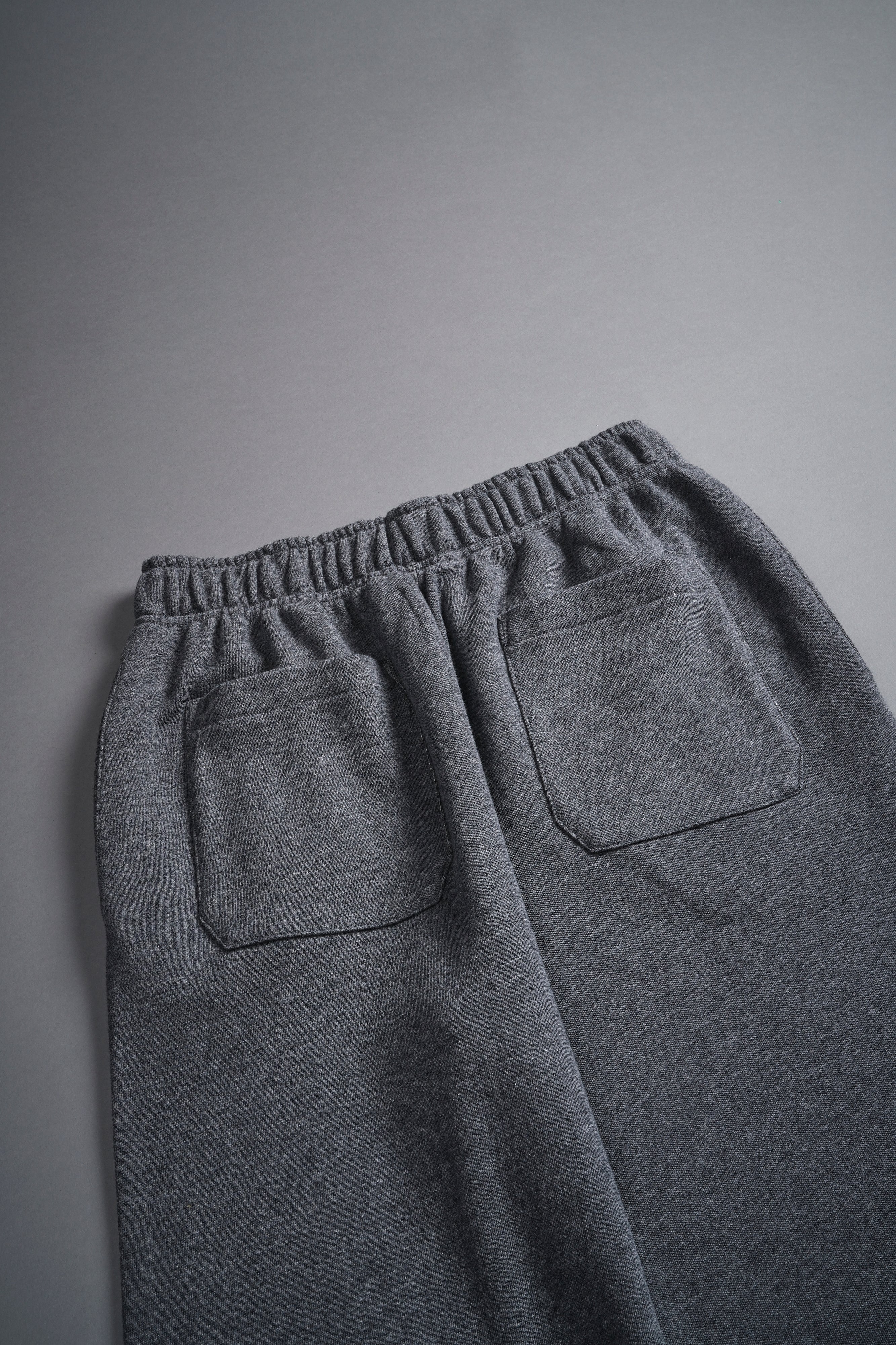 Big Wolf Powerhouse She Big Cozy Sweats in Darc Heather Gray