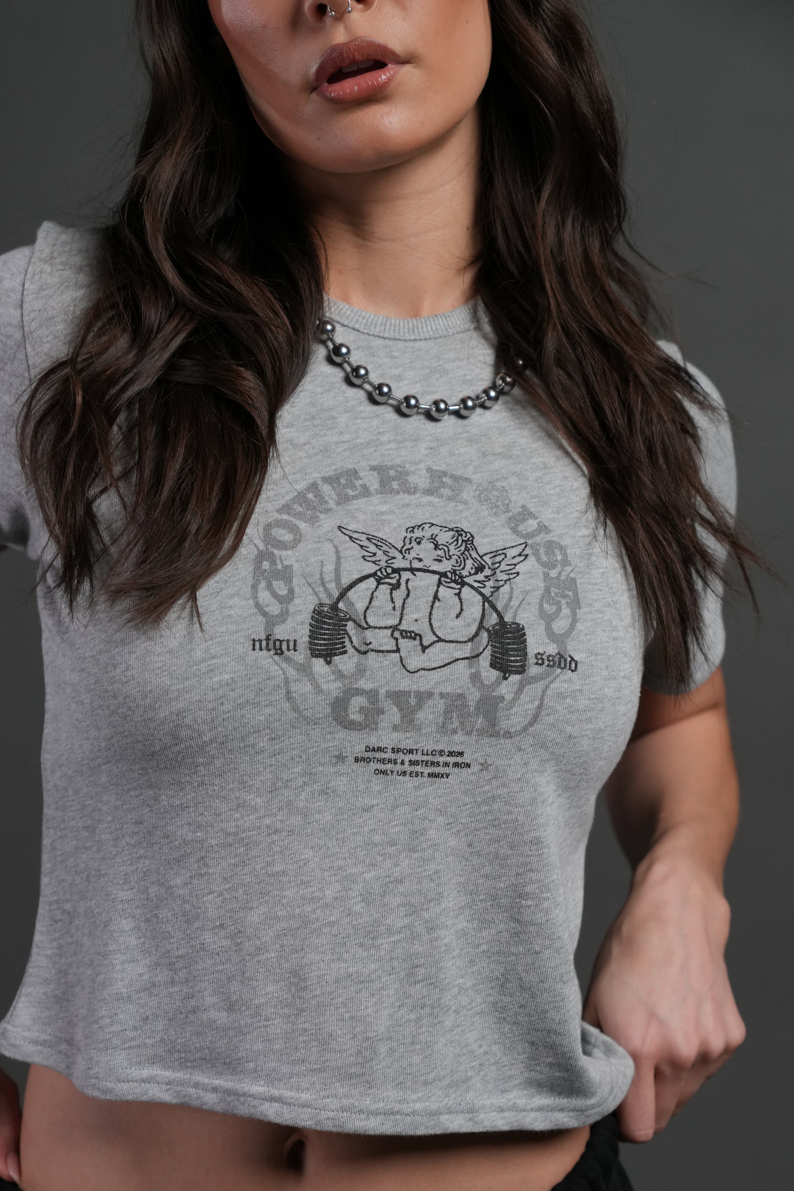 Powerhouse of the Cherub "Timeless" Tee in Light Athletic Gray