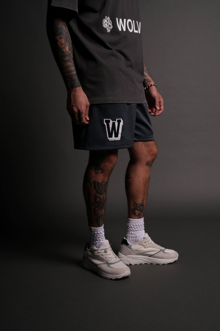 Vaughn Mesh Shorts in Wolf Gray