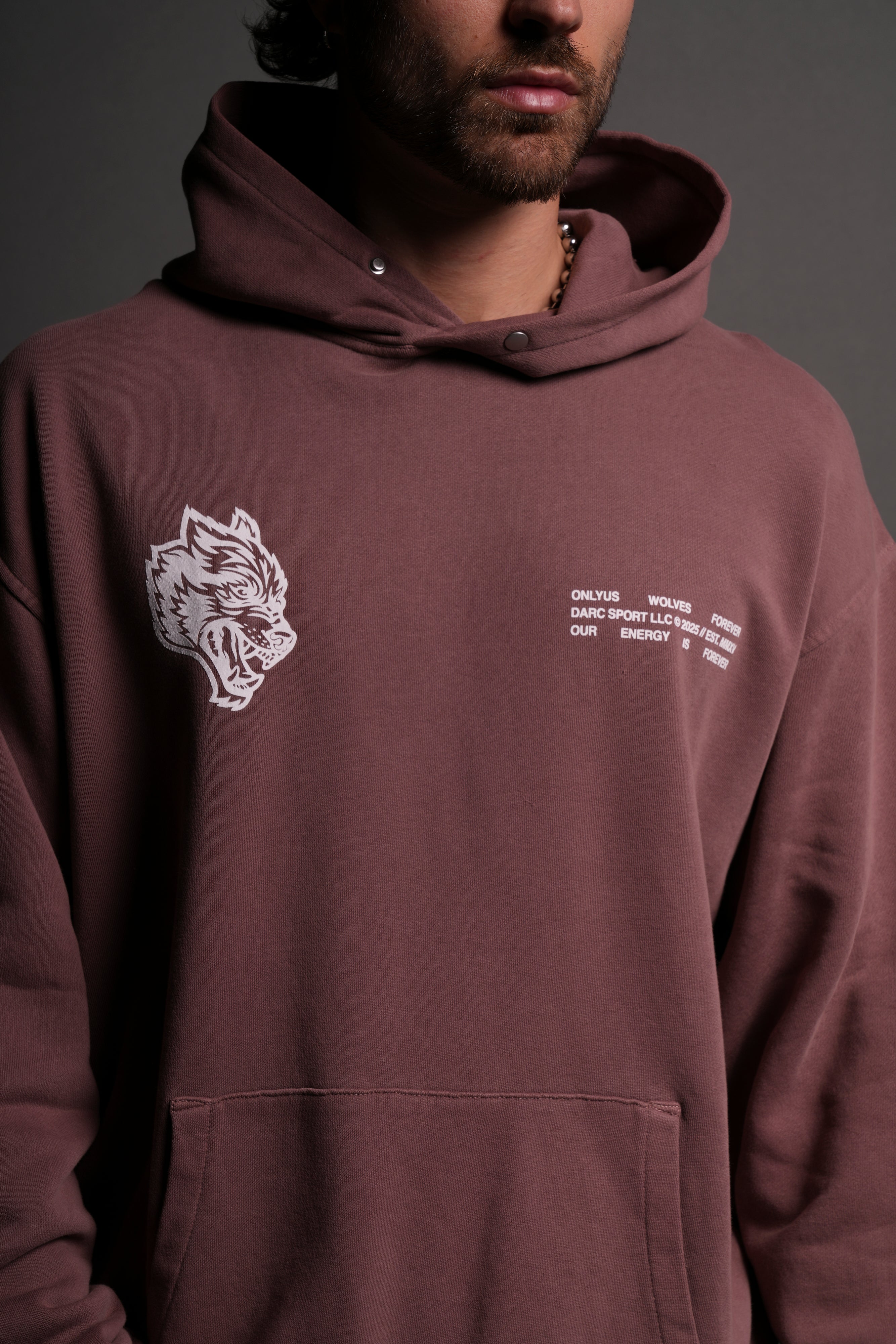 Live Today "Pierce" Hoodie in Mauve