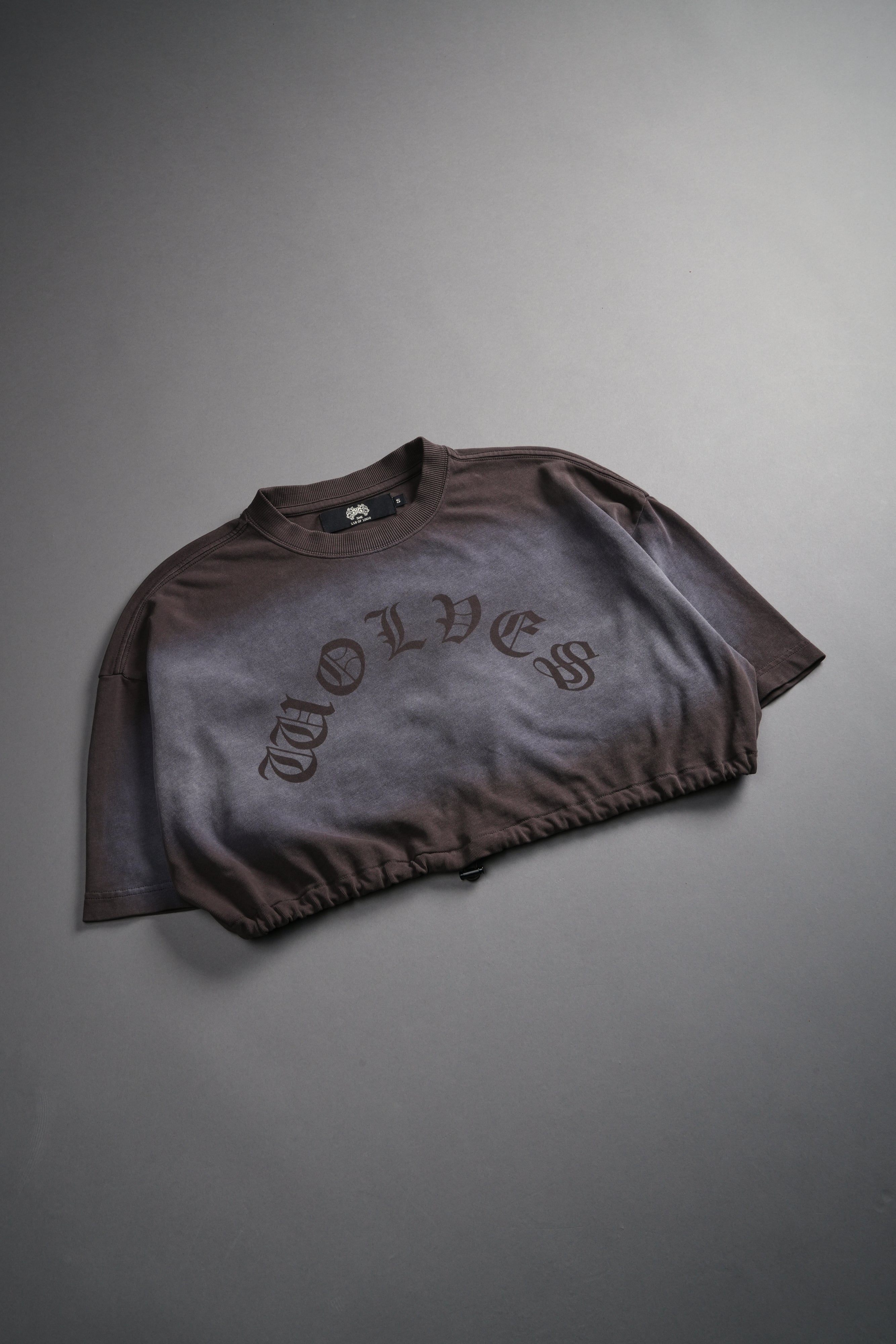 Chopper Bungee Cropped Tee in Darc Brown Horizon Sun Fade