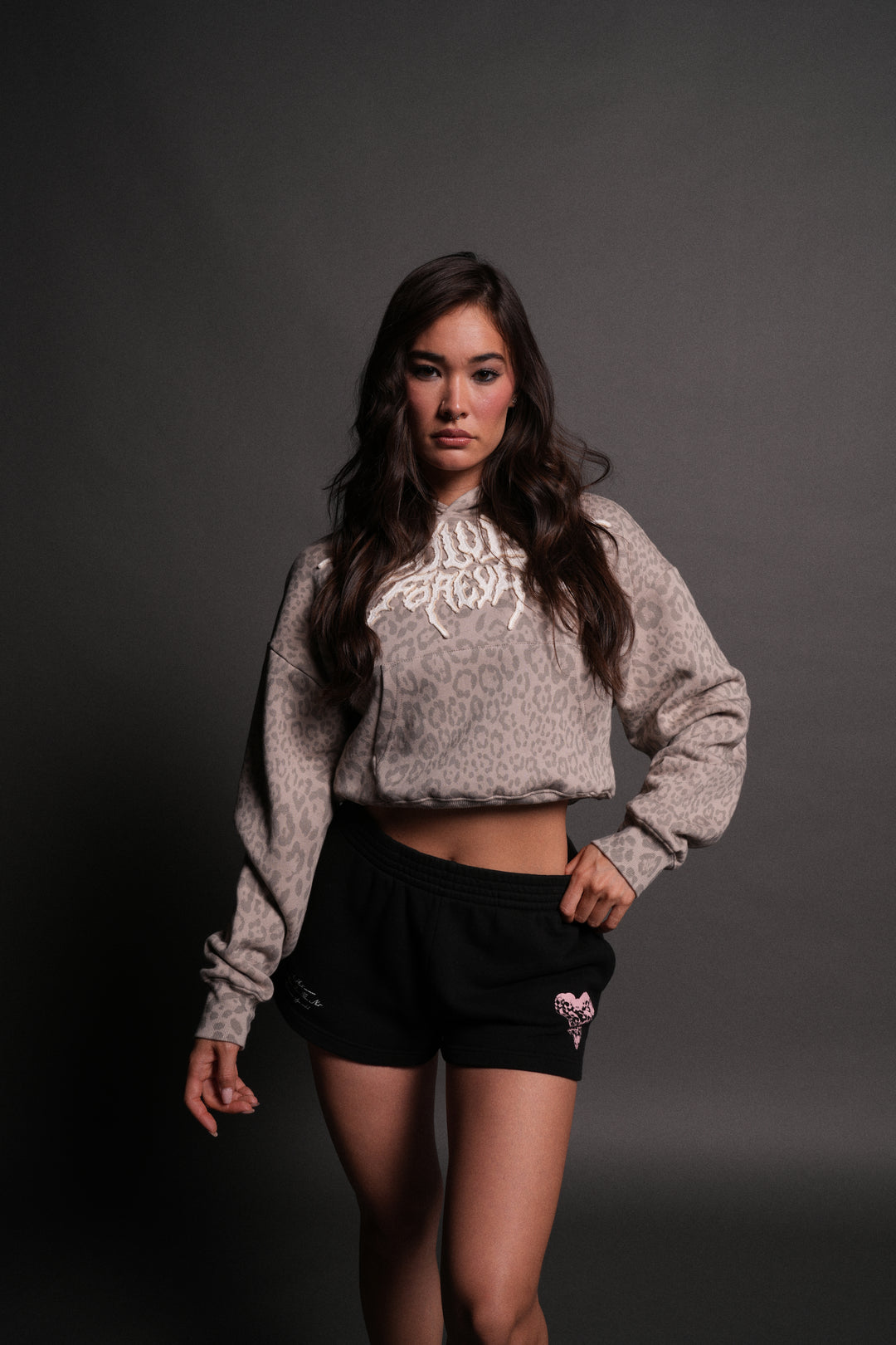 Forged From Iron Applique Owen Cropped Hoodie in Clay Leopard