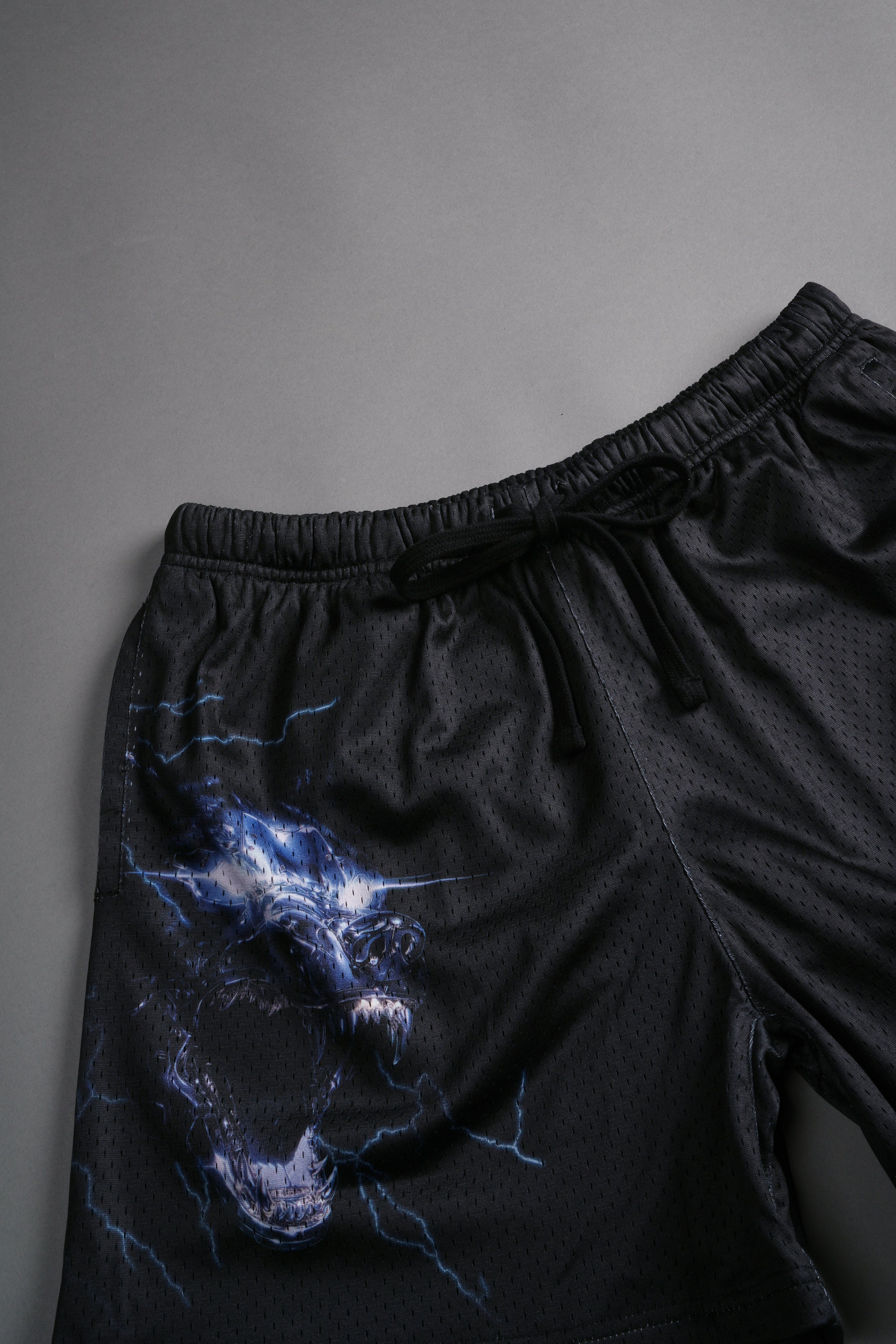 Eye Of The Beast Mesh Shorts in Black