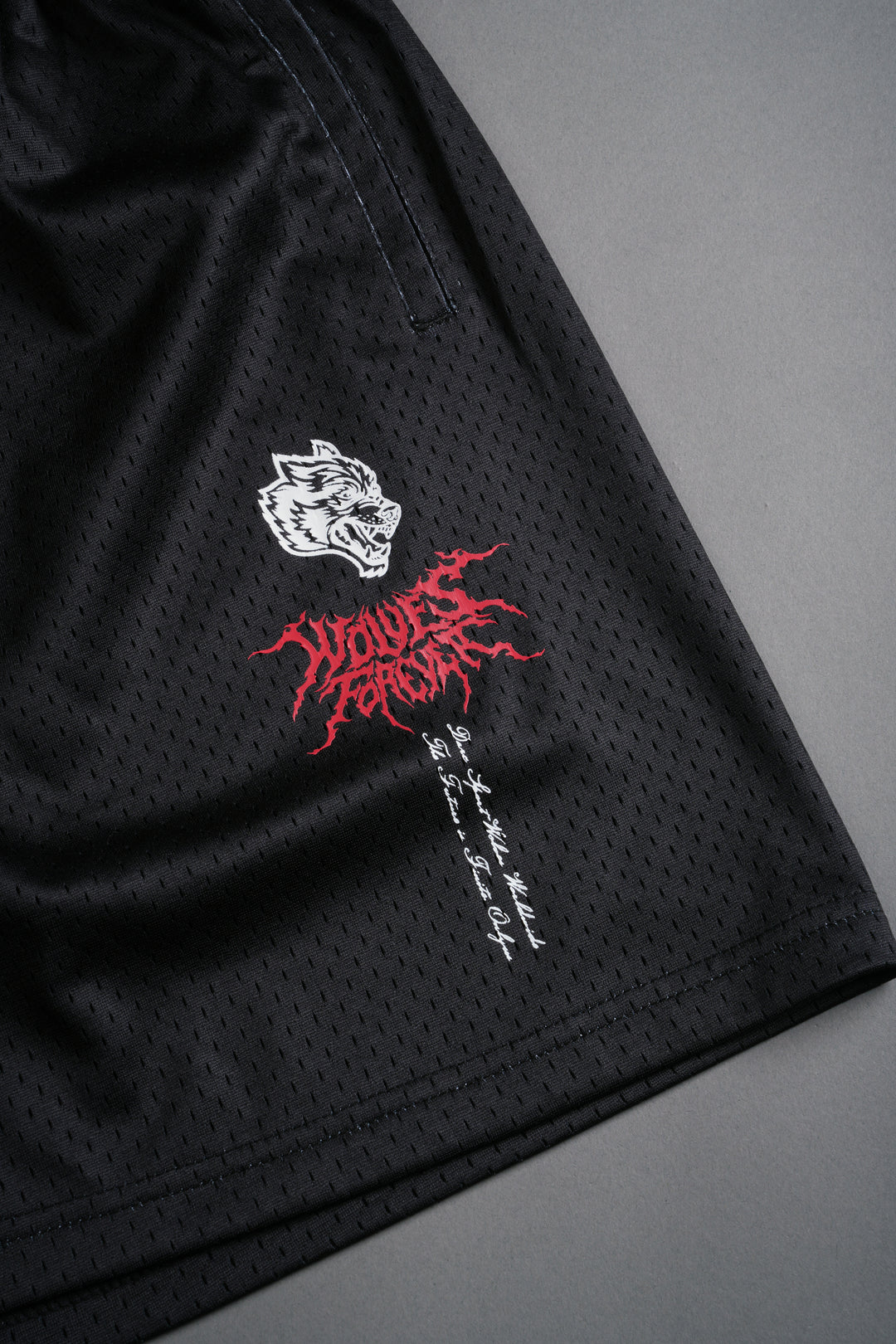 Eye Of The Beast Mesh Shorts in Black