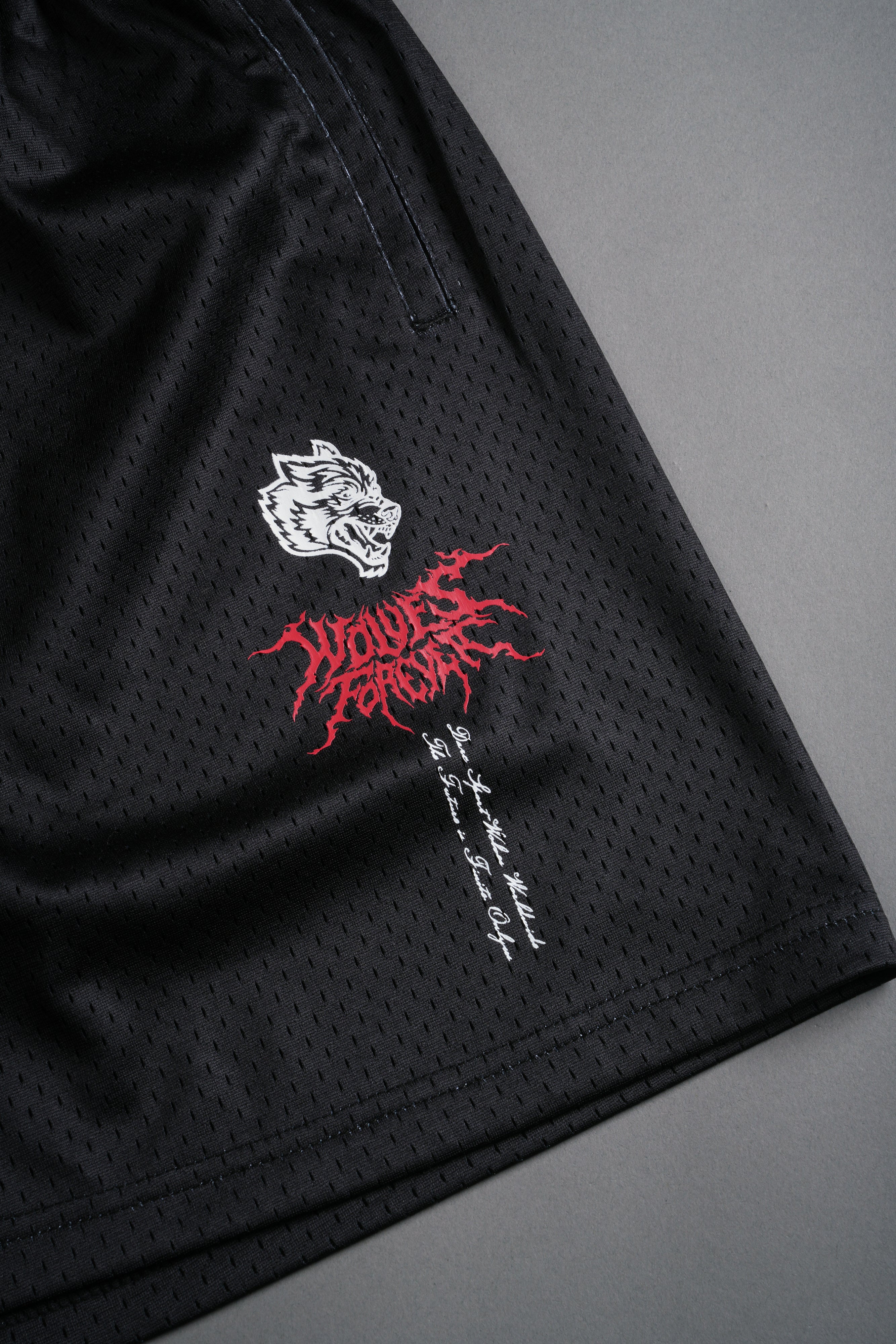 Eye Of The Beast Mesh Shorts in Black