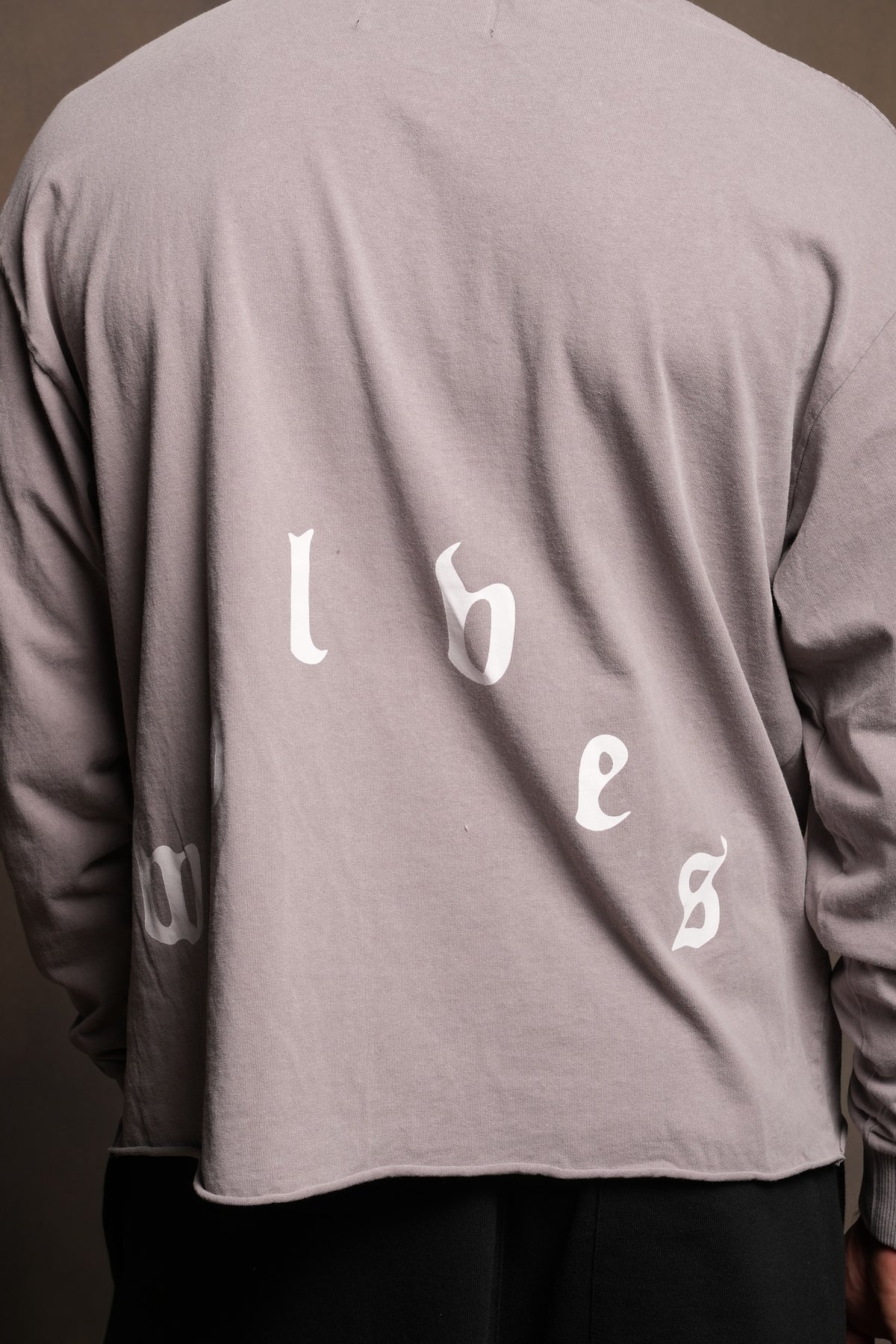 Dama De Las Rosas Grunge Mid Length Raw Hem Ls Tee In Pale Gray