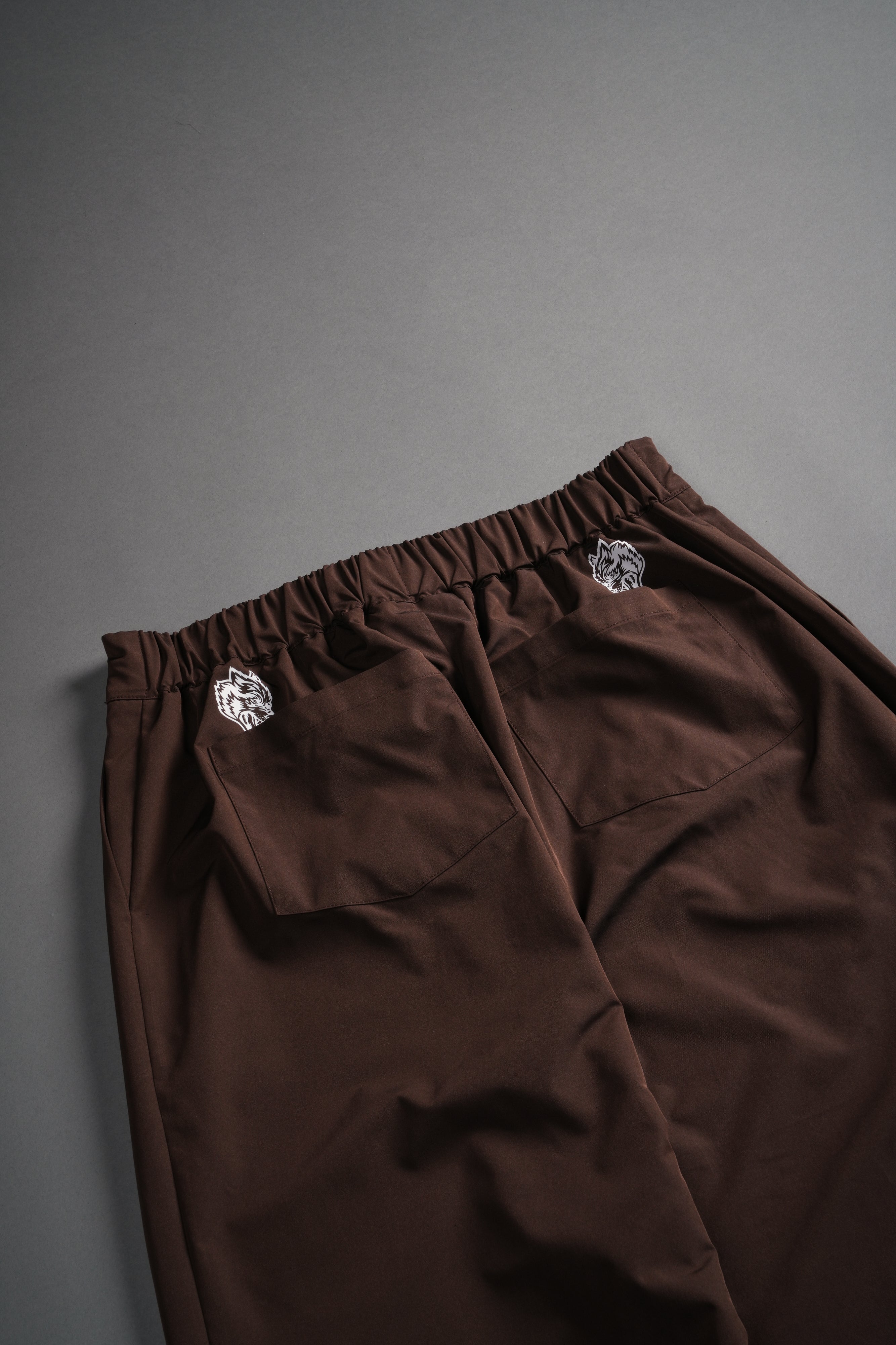 Loyalty Patch Hadi Pants in Brown