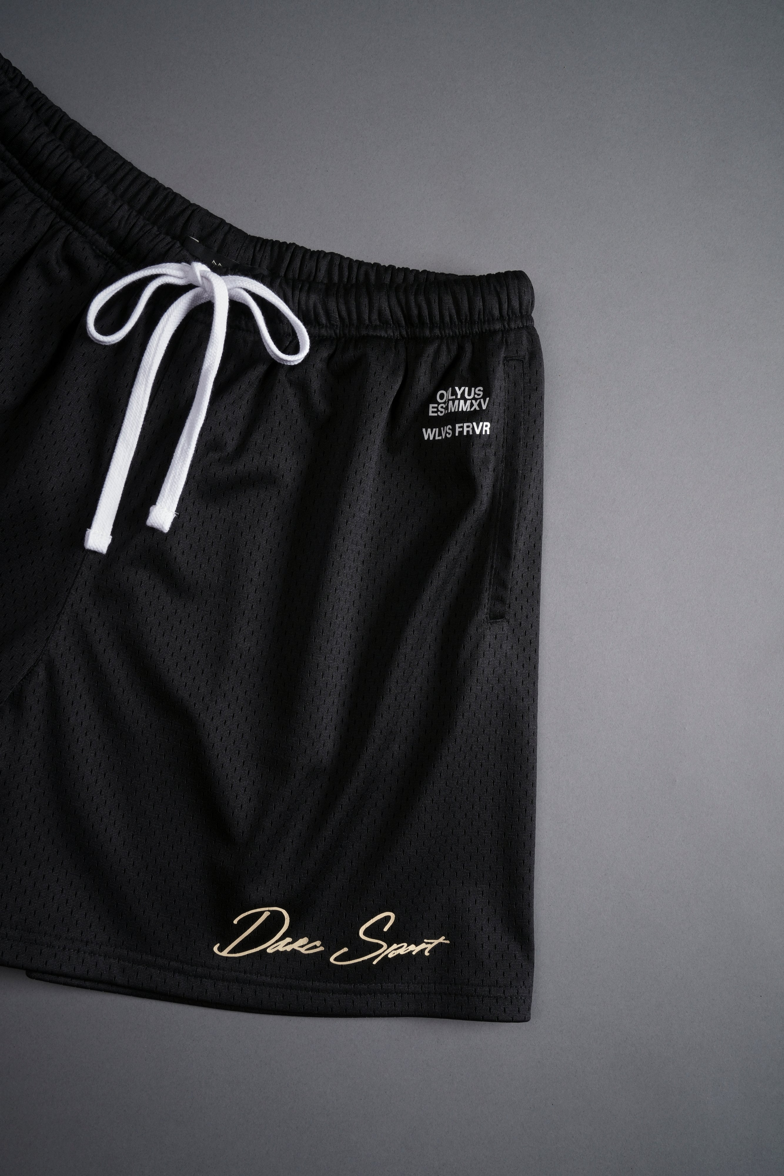 Darc Sport x shops Powerhouse mesh shorts