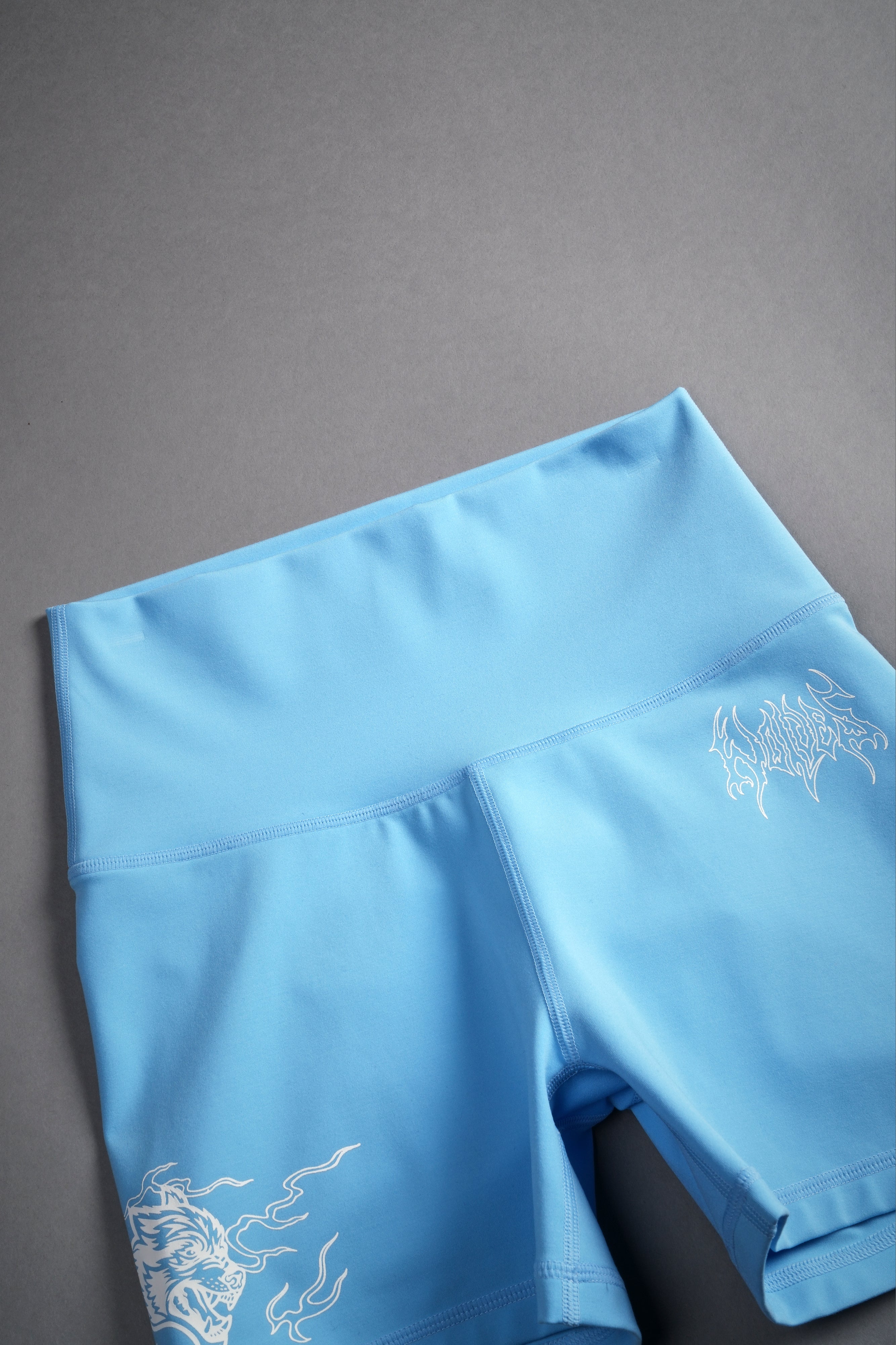 Eternal Flame Energy Pump Shorts in Blue Crane