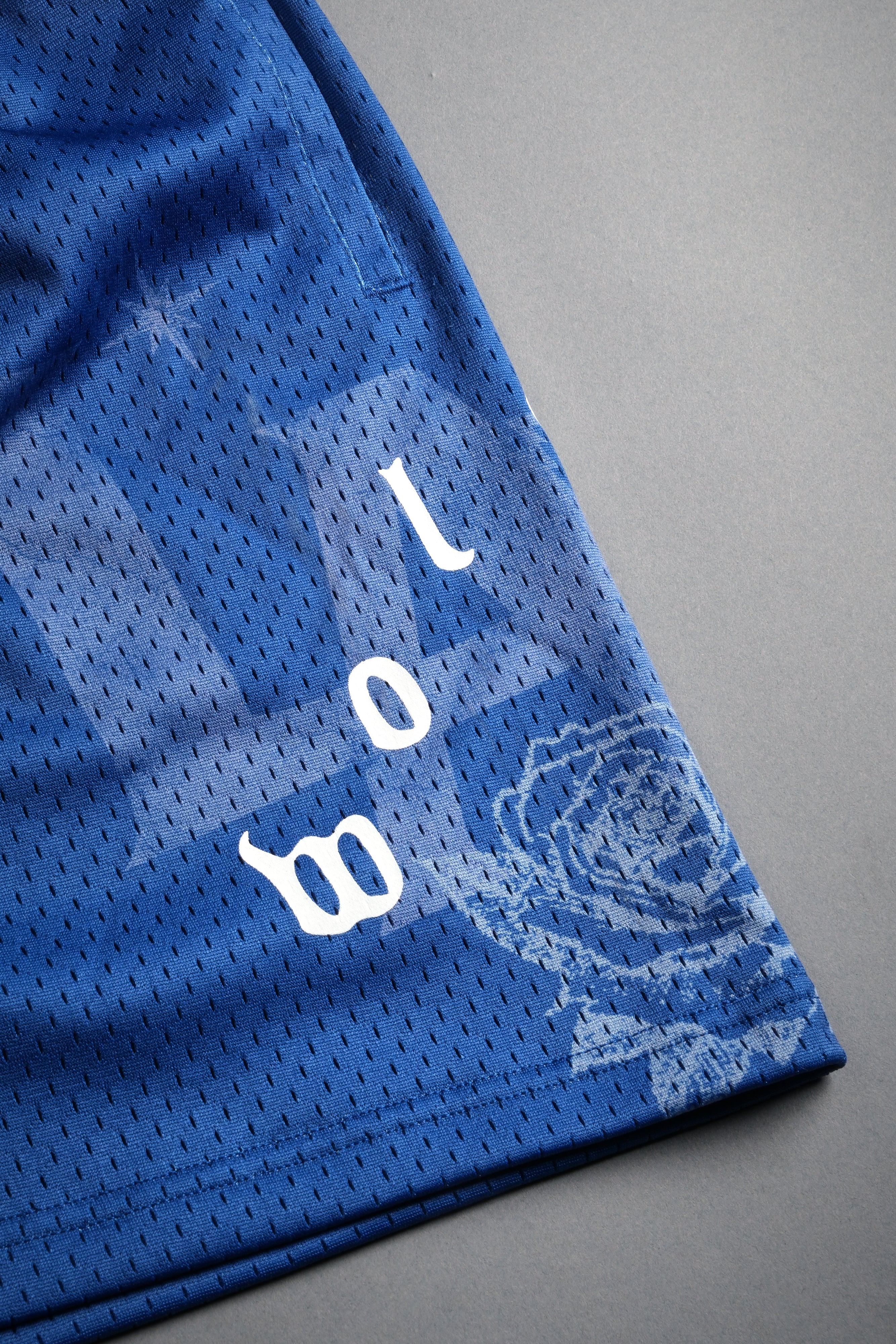 Homage To La Mesh Shorts in La Blue