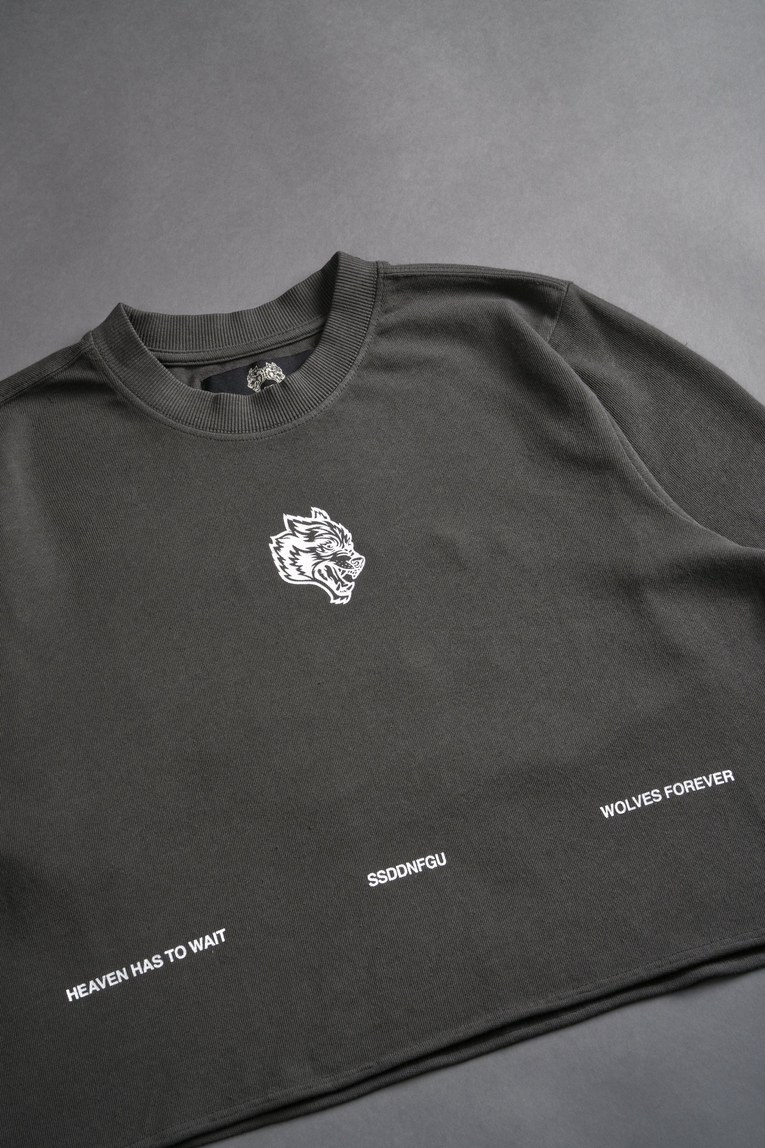 Death Moth Forever "Premium" (Cropped) Tee in Wolf Gray