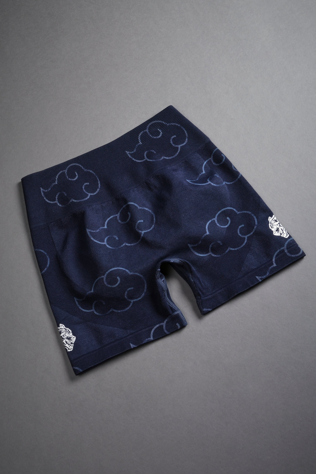 Wolf Cloud Everson Seamless "Training" Shorts in Storm Blue
