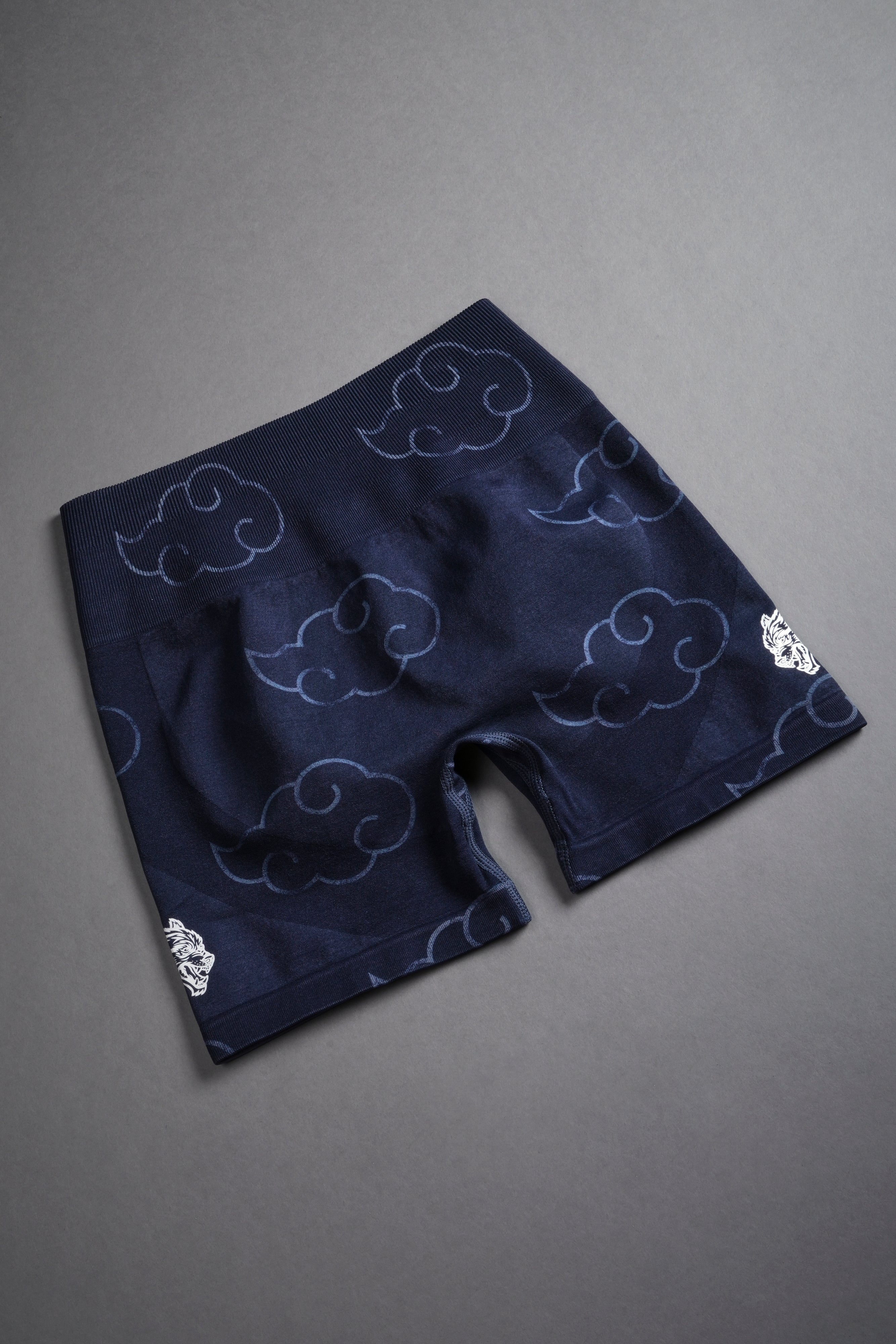 Wolf Cloud Everson Seamless "Training" Shorts in Storm Blue