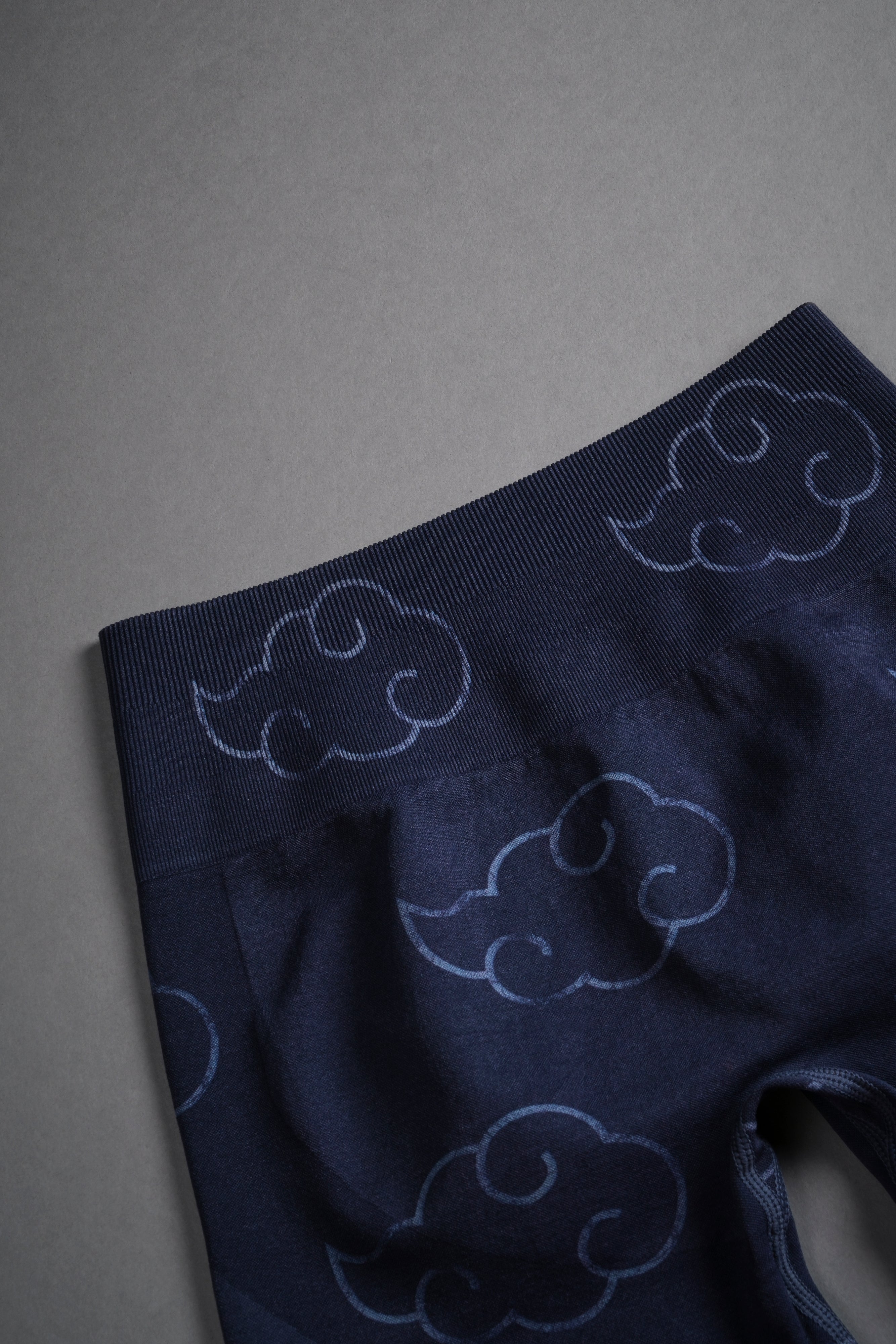 Wolf Cloud Everson Seamless "Training" Shorts in Storm Blue