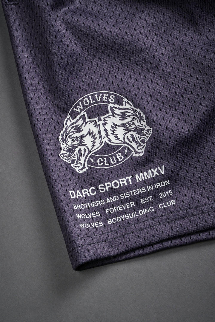 Gaara Mesh Shorts in Wolf Gray