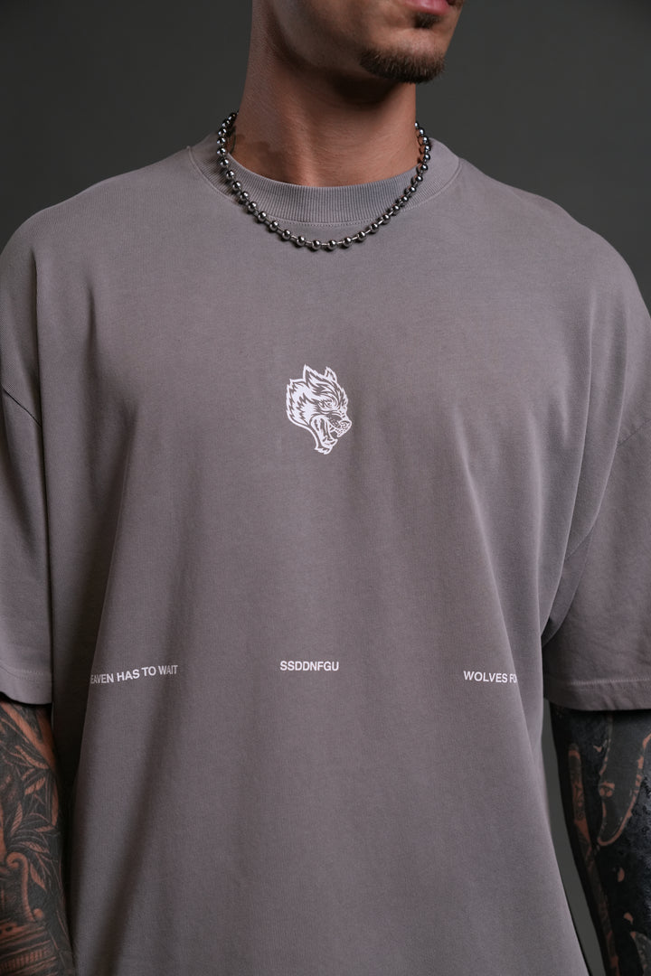 Death Moth Forever "Premium" Oversized Tee in Pale Gray