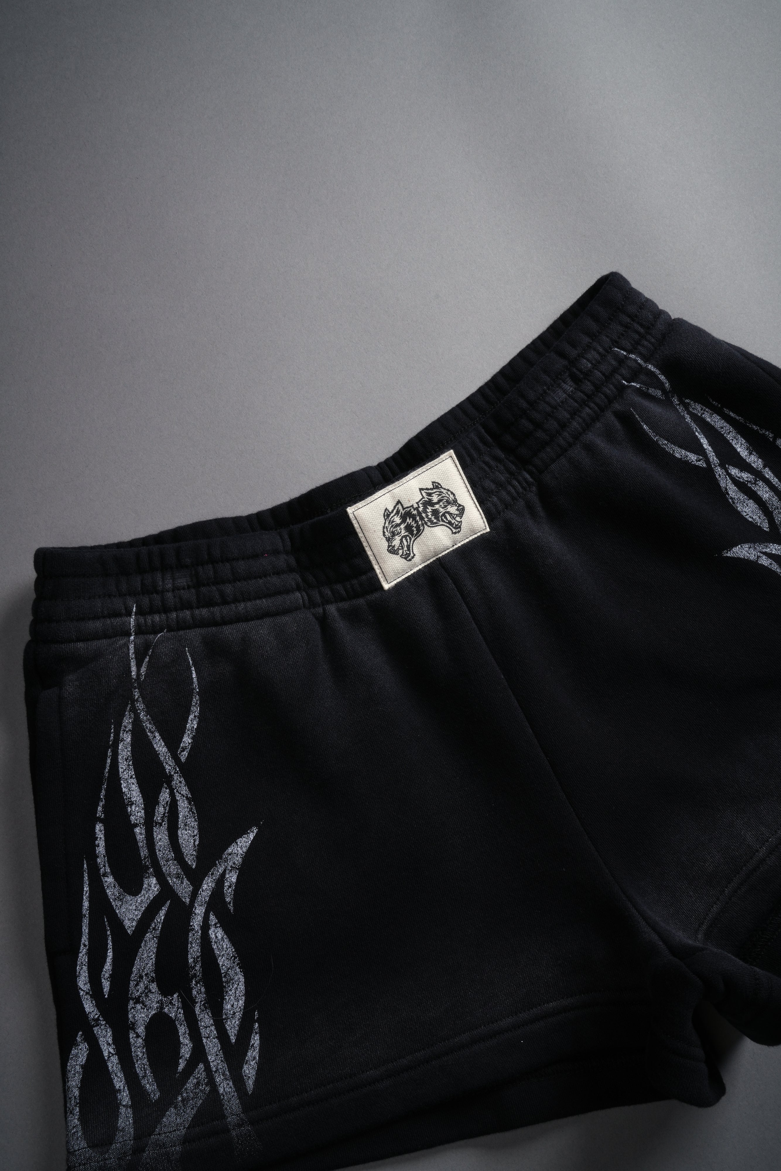 Finite Flame Ellie Sweat Shorts in Black Drift Wash