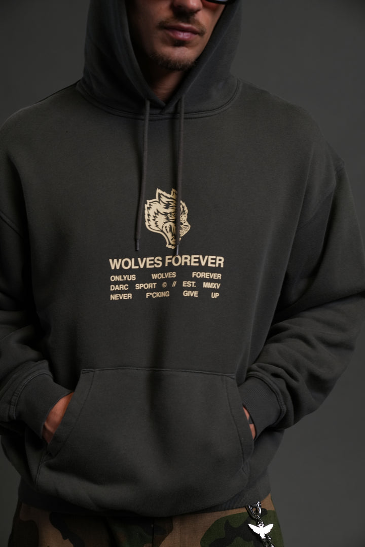 Wolves Have Your Back "Bishop" Hoodie in Wolf Gray Halo Wash