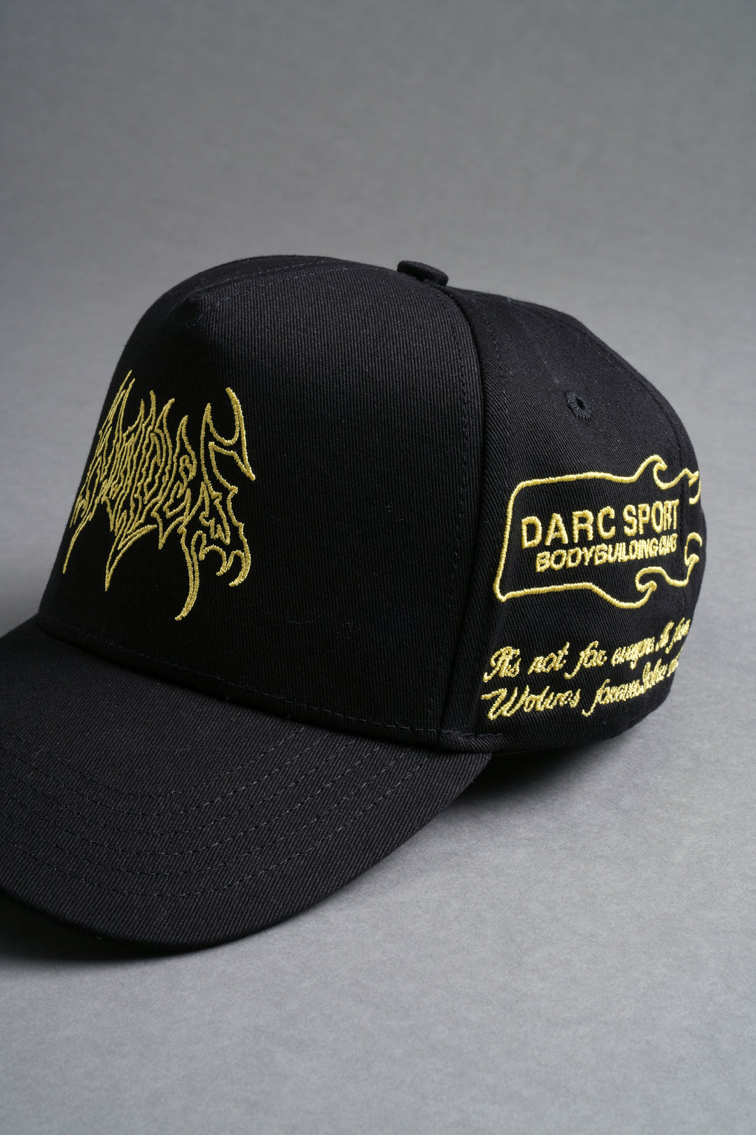Hesh Forever 5 Panel Hat in Black