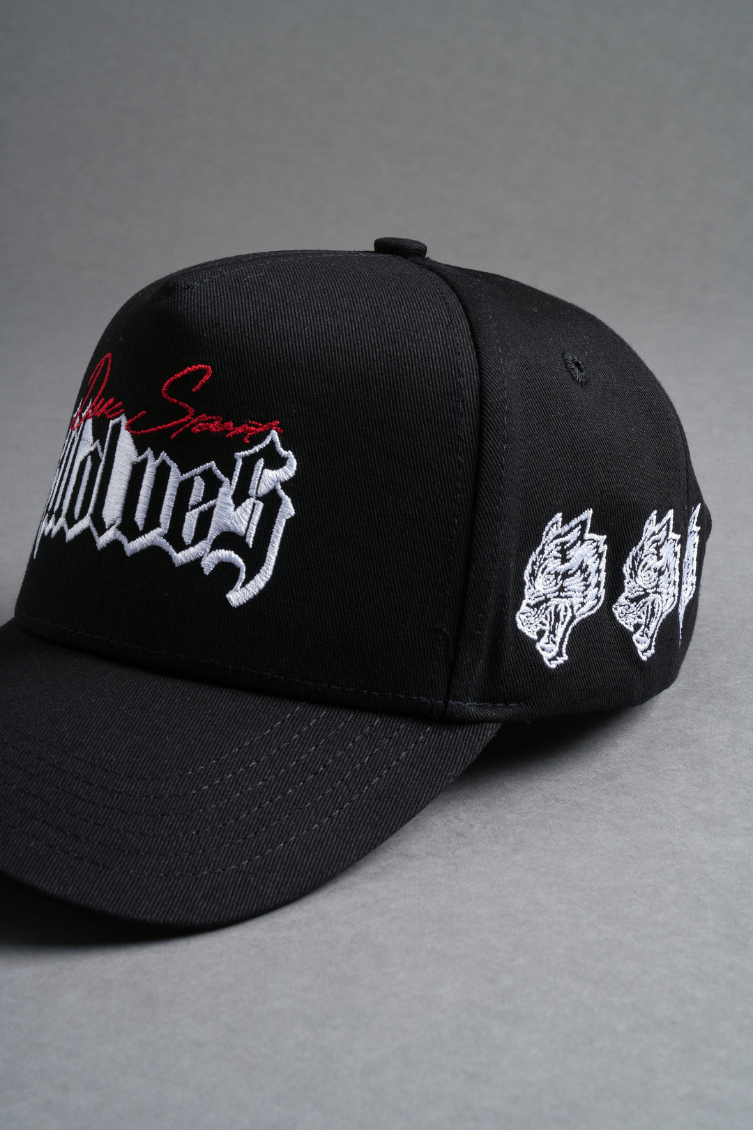World Of Darcness 5 Panel Hat in Black