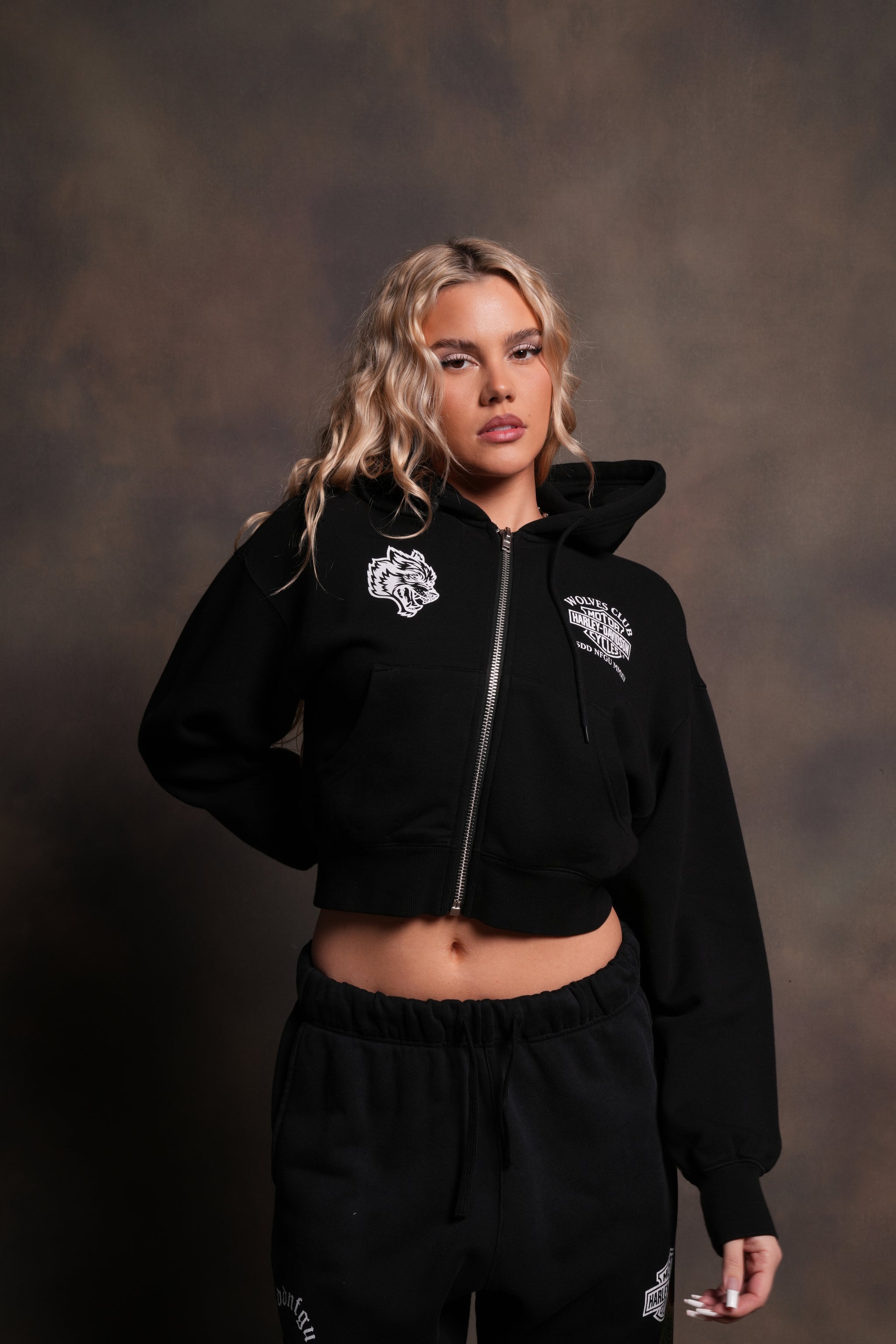 Harley-Davidson Wolves Club 