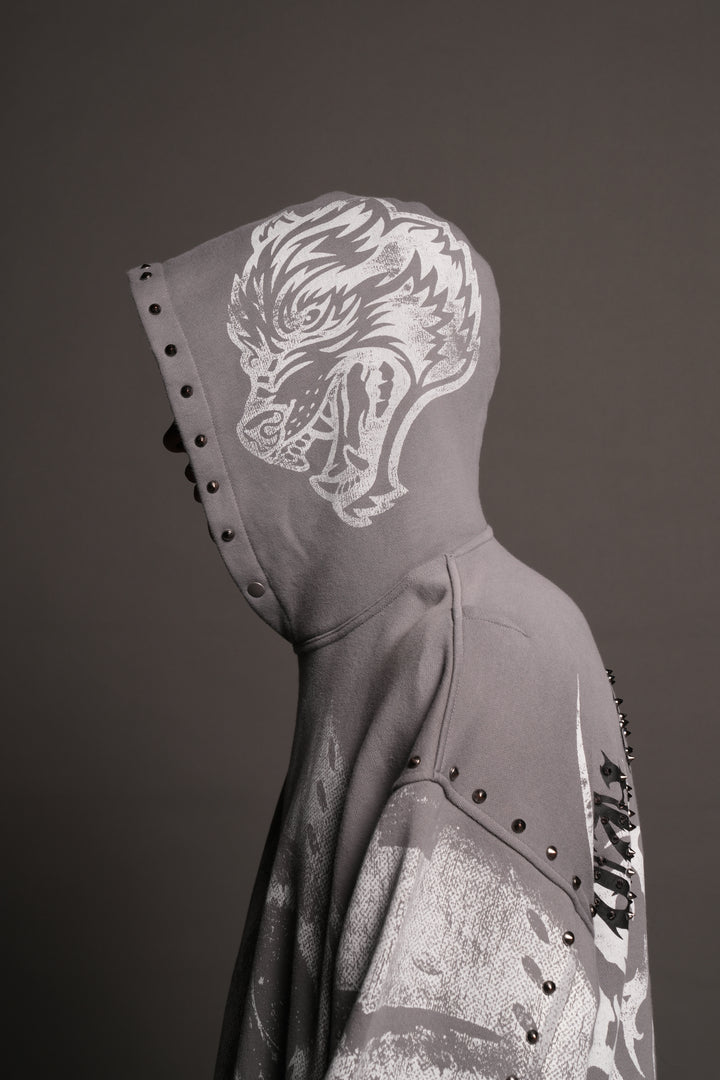 Jason Forever Cornell Hoodie In Dove Gray Drift Wash