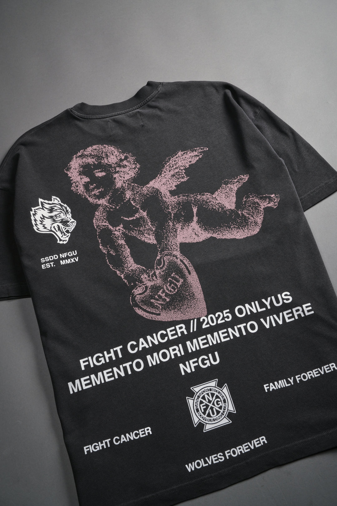 Fight Cancer NFGU "Premium" Oversized Tee in Wolf Gray