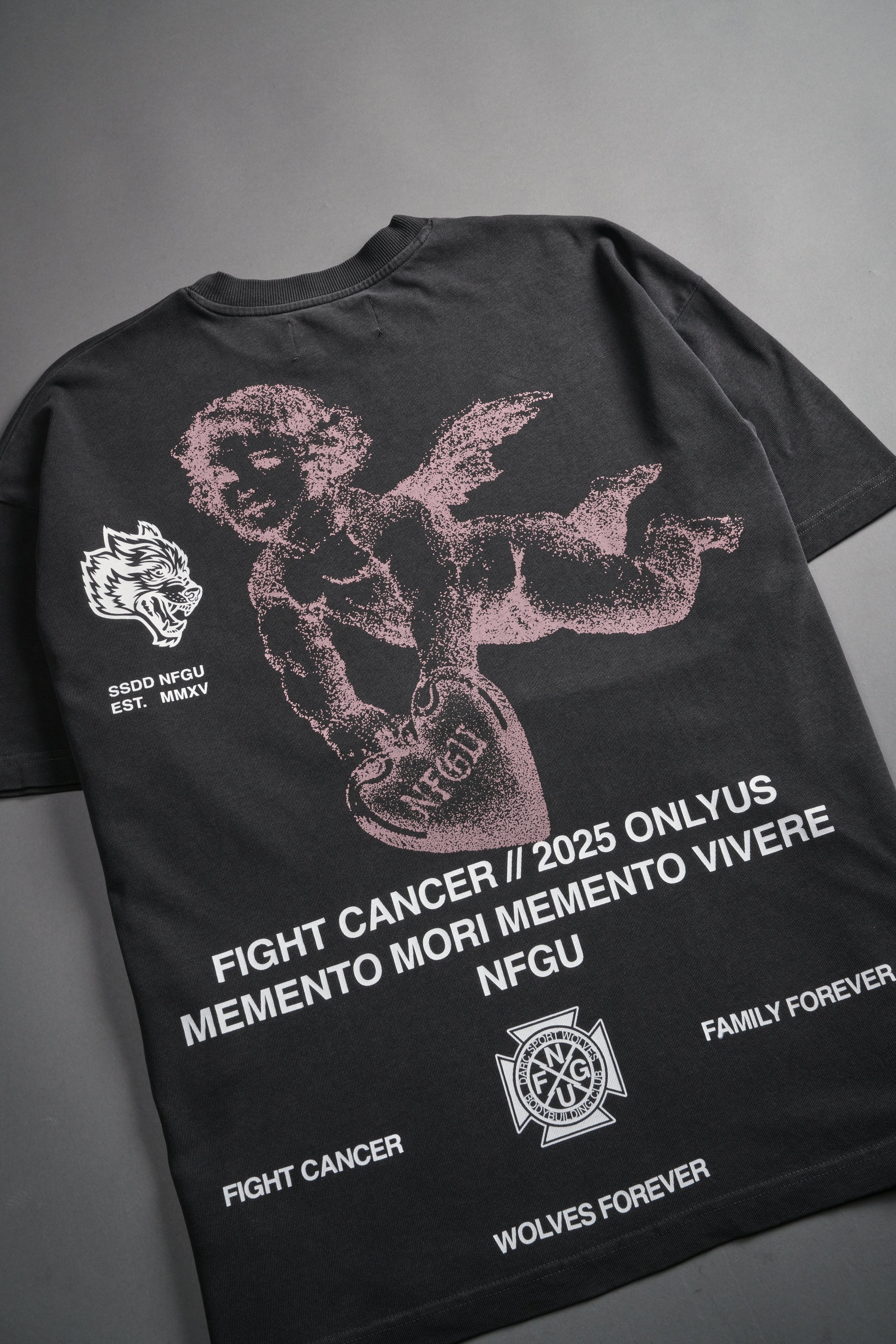Fight Cancer NFGU "Premium" Oversized Tee in Wolf Gray